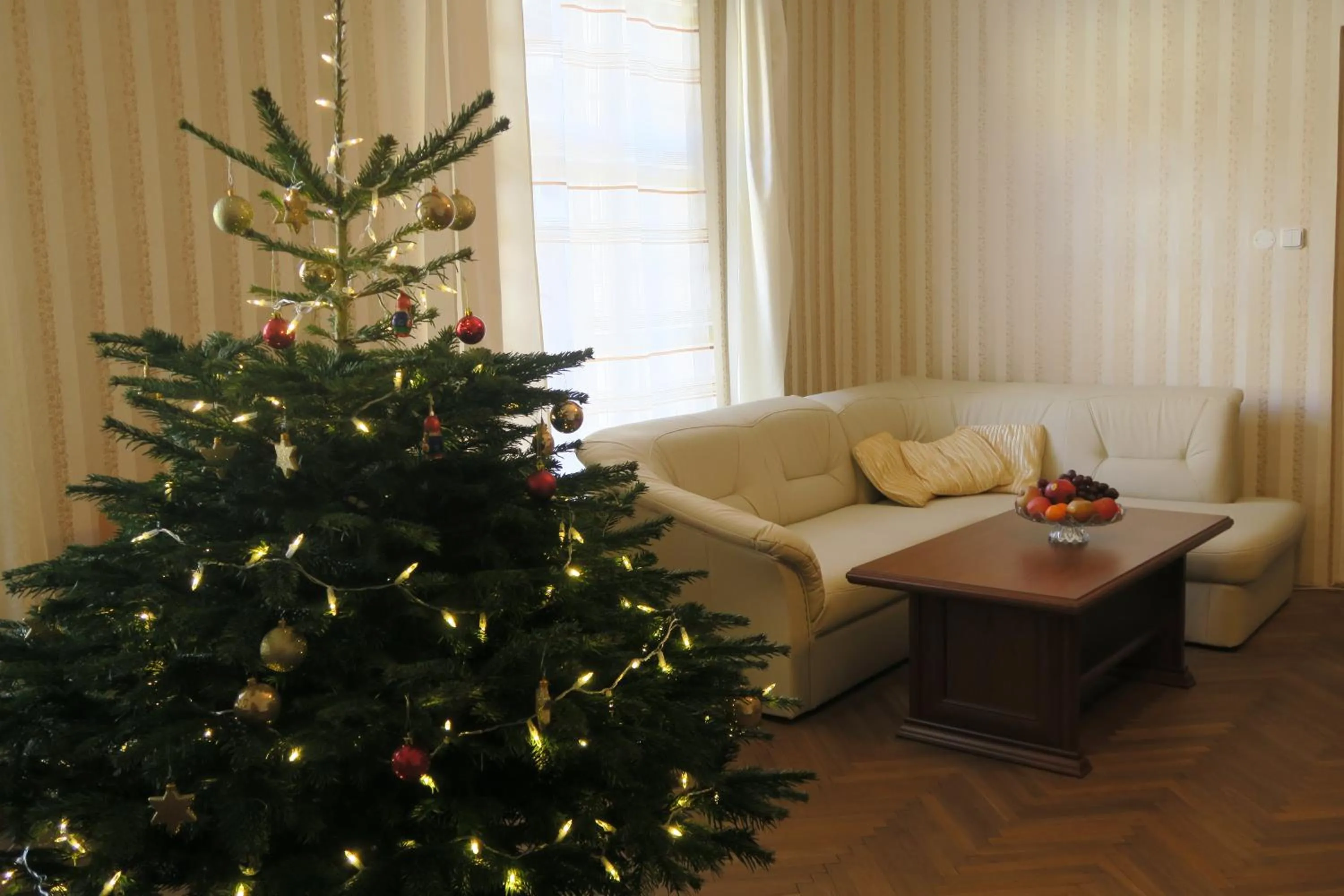 Living room in Apartments near Lesser Town