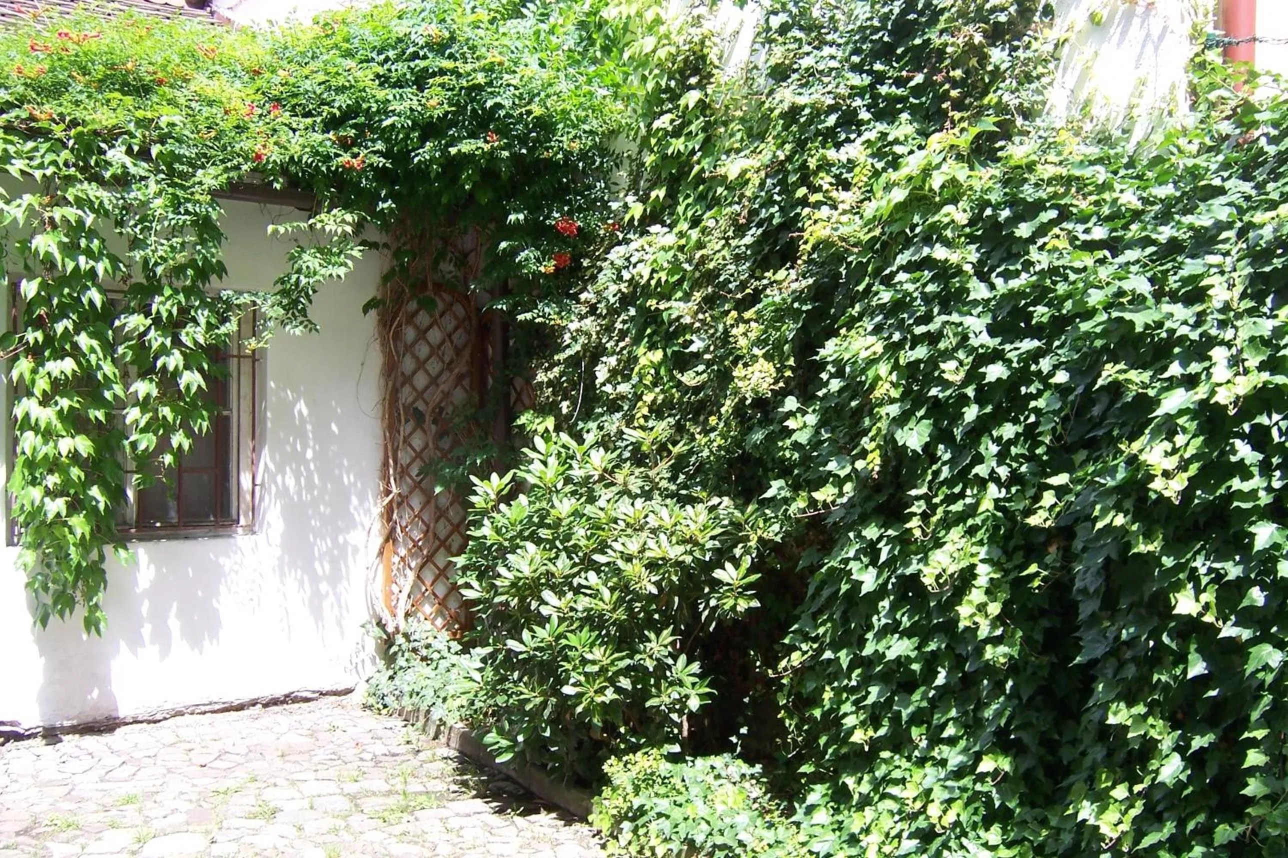 Garden in Apartments near Lesser Town