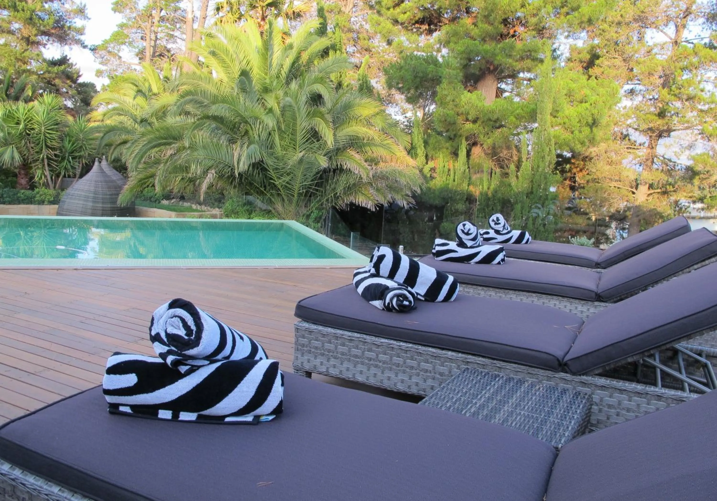 Swimming pool in Jamala Wildlife Lodge