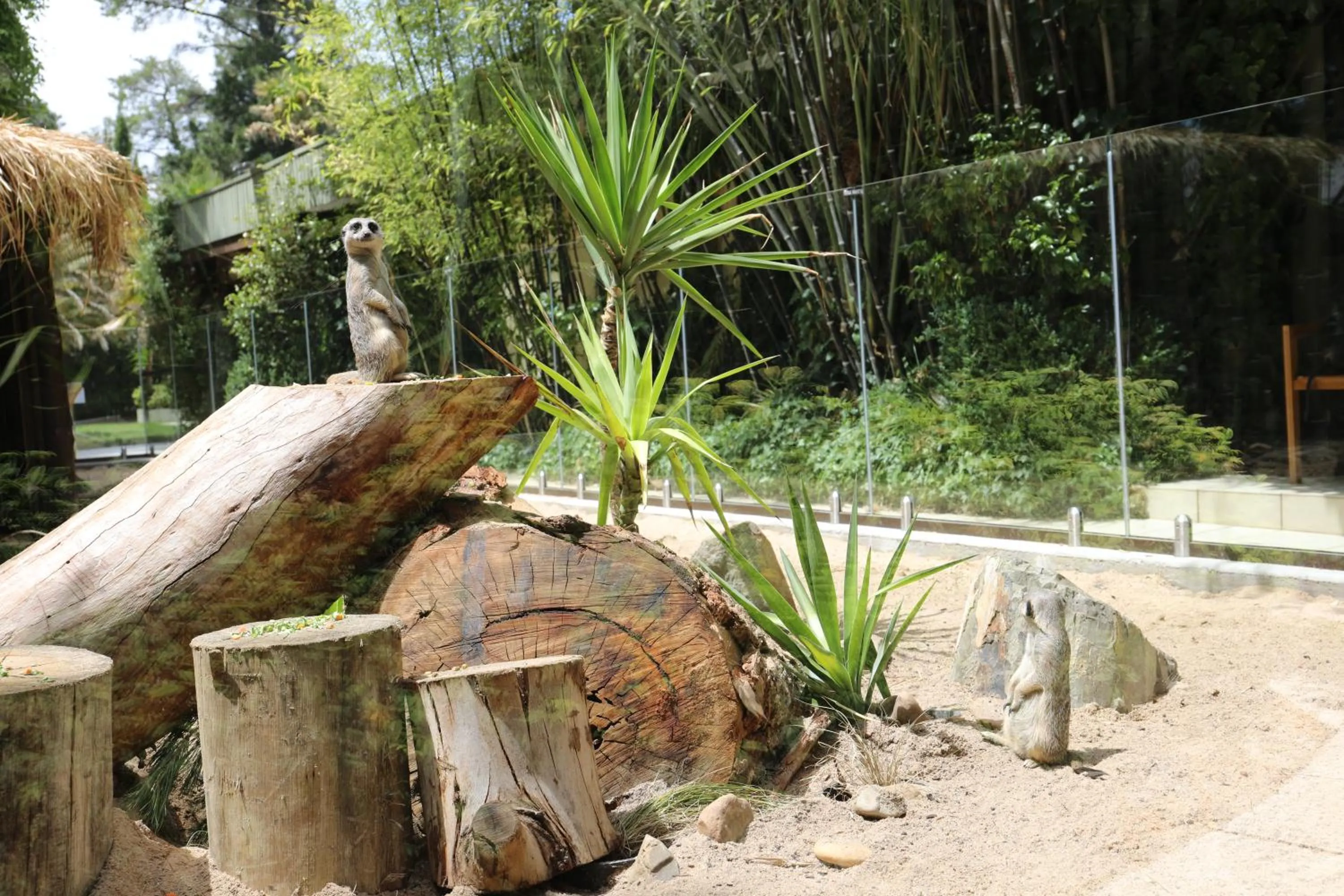 Garden in Jamala Wildlife Lodge