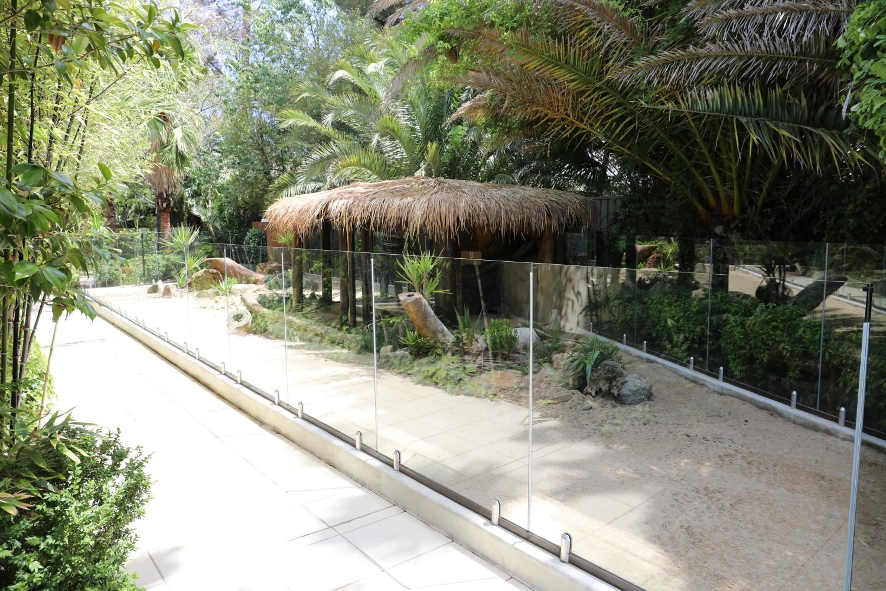 Patio in Jamala Wildlife Lodge