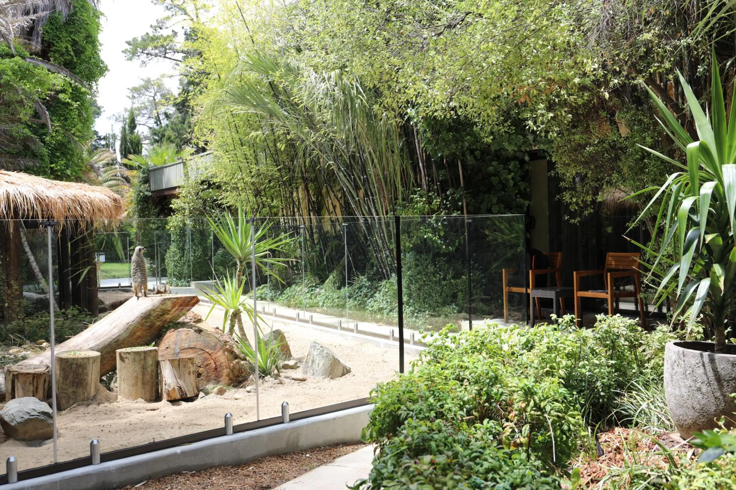 Animals in Jamala Wildlife Lodge