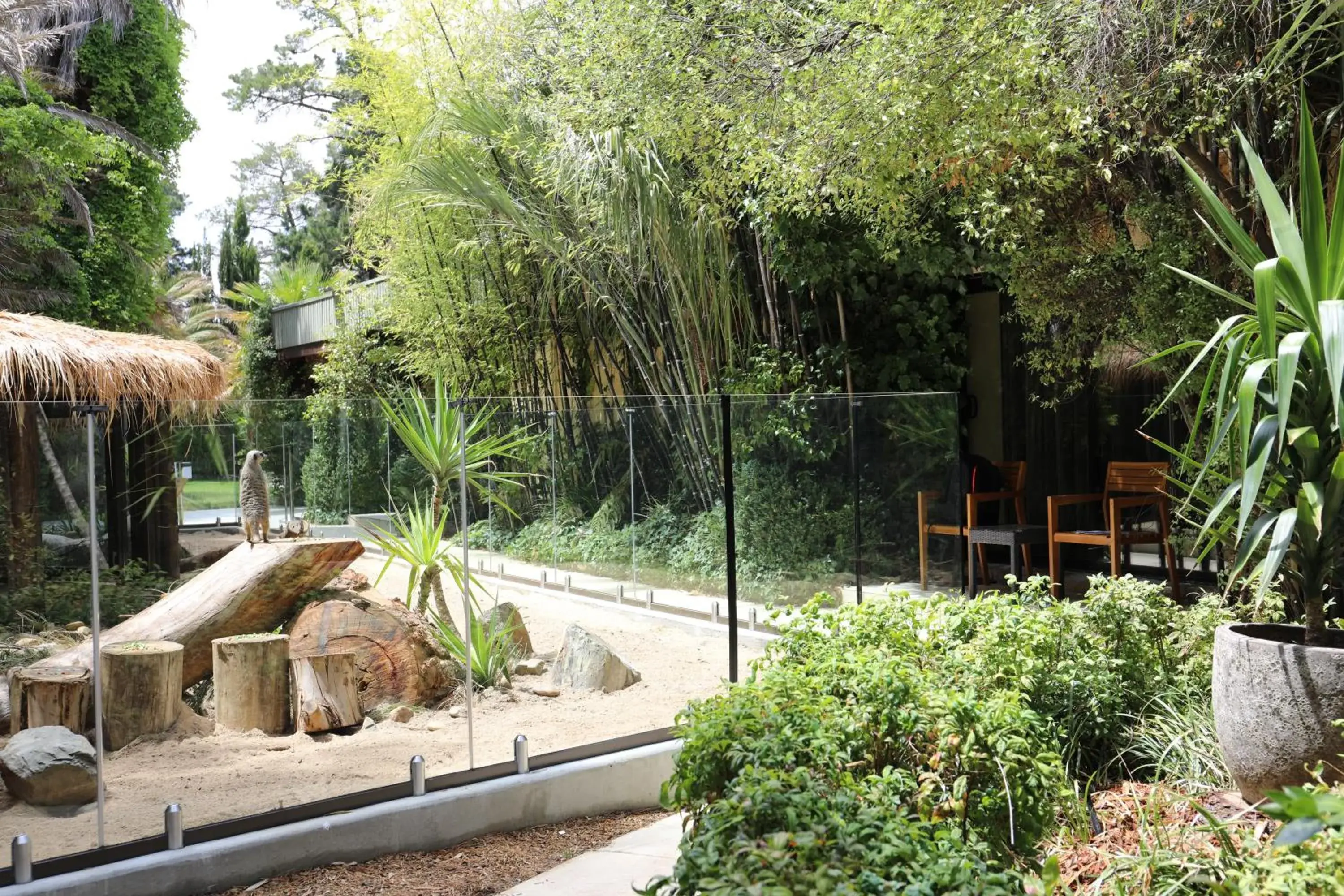 Meerkat Family Suite in Jamala Wildlife Lodge Meerkat Family Suite in Jamala Wildlife Lodge