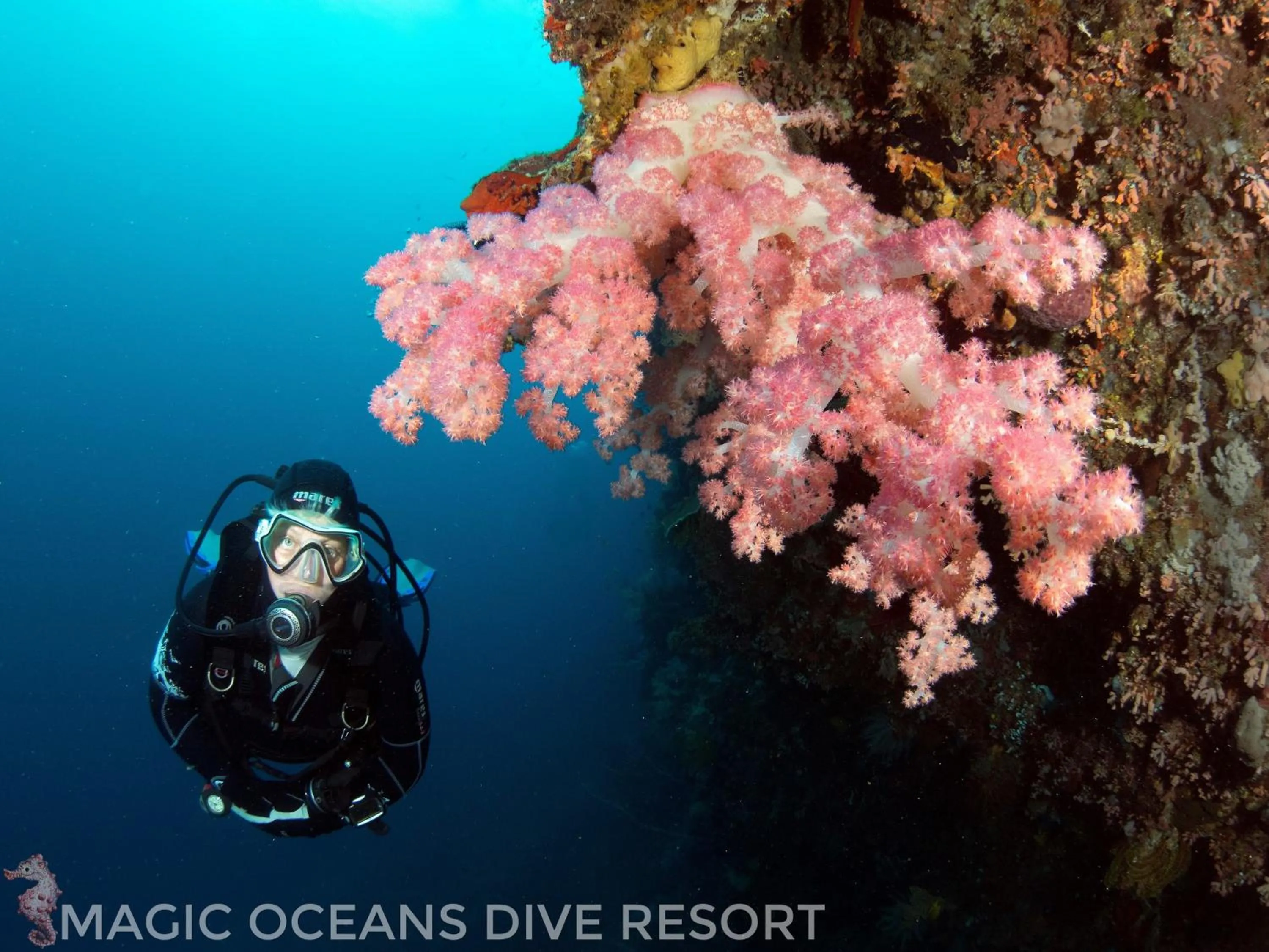 Diving in Magic Oceans Dive Resort