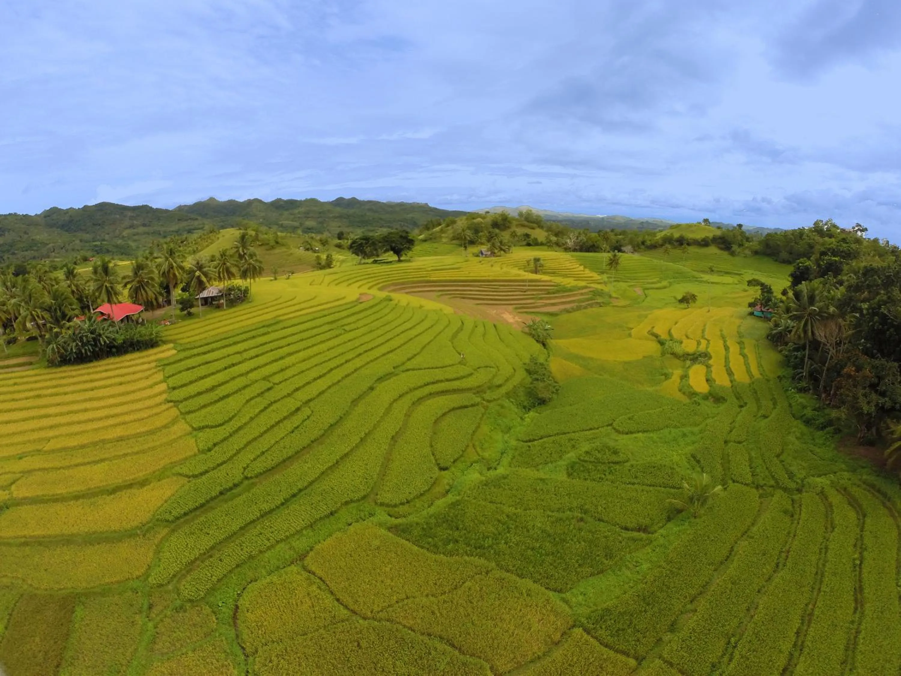 Neighbourhood in Magic Oceans Dive Resort