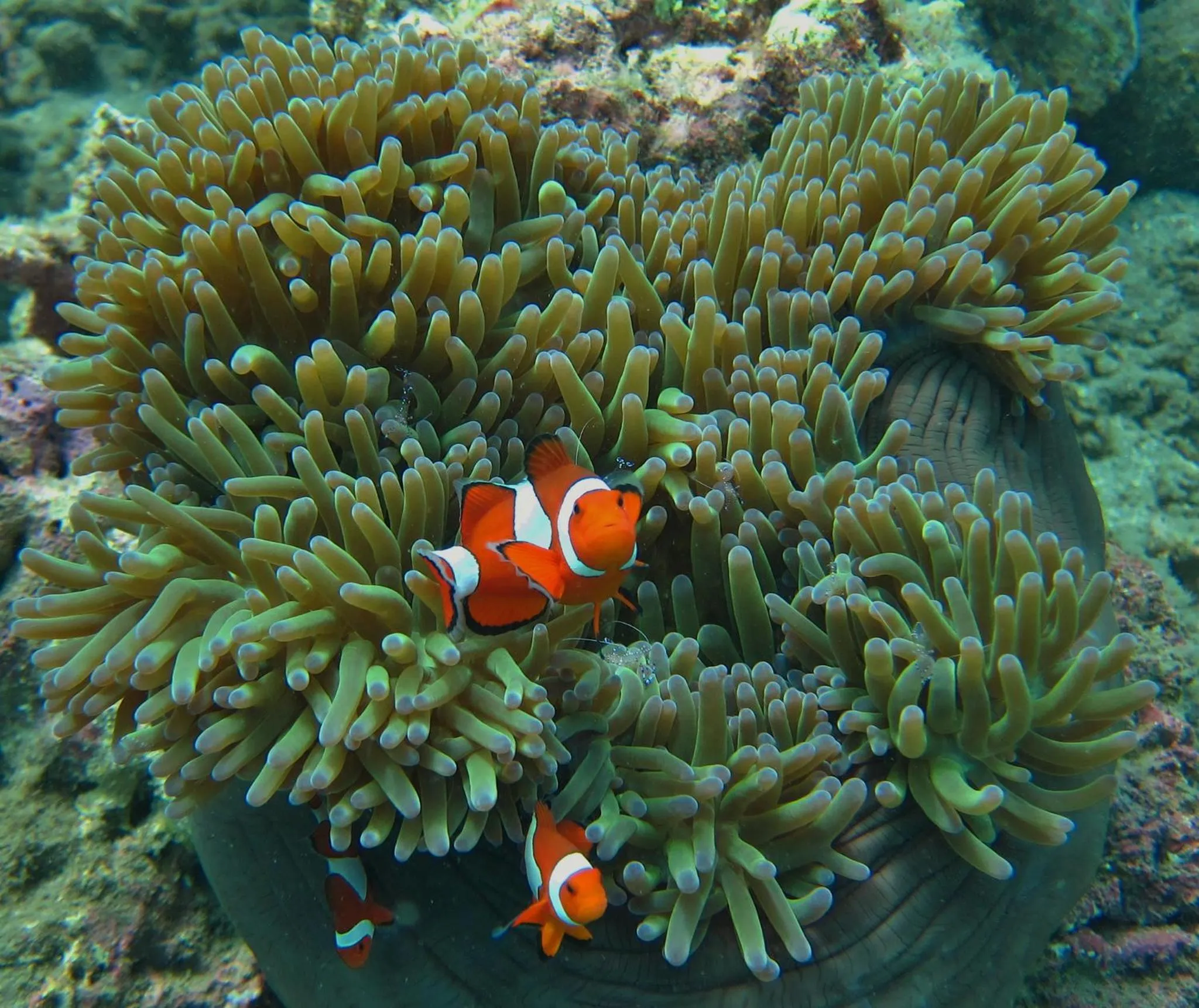 Day in Ten Moons Lipe Resort