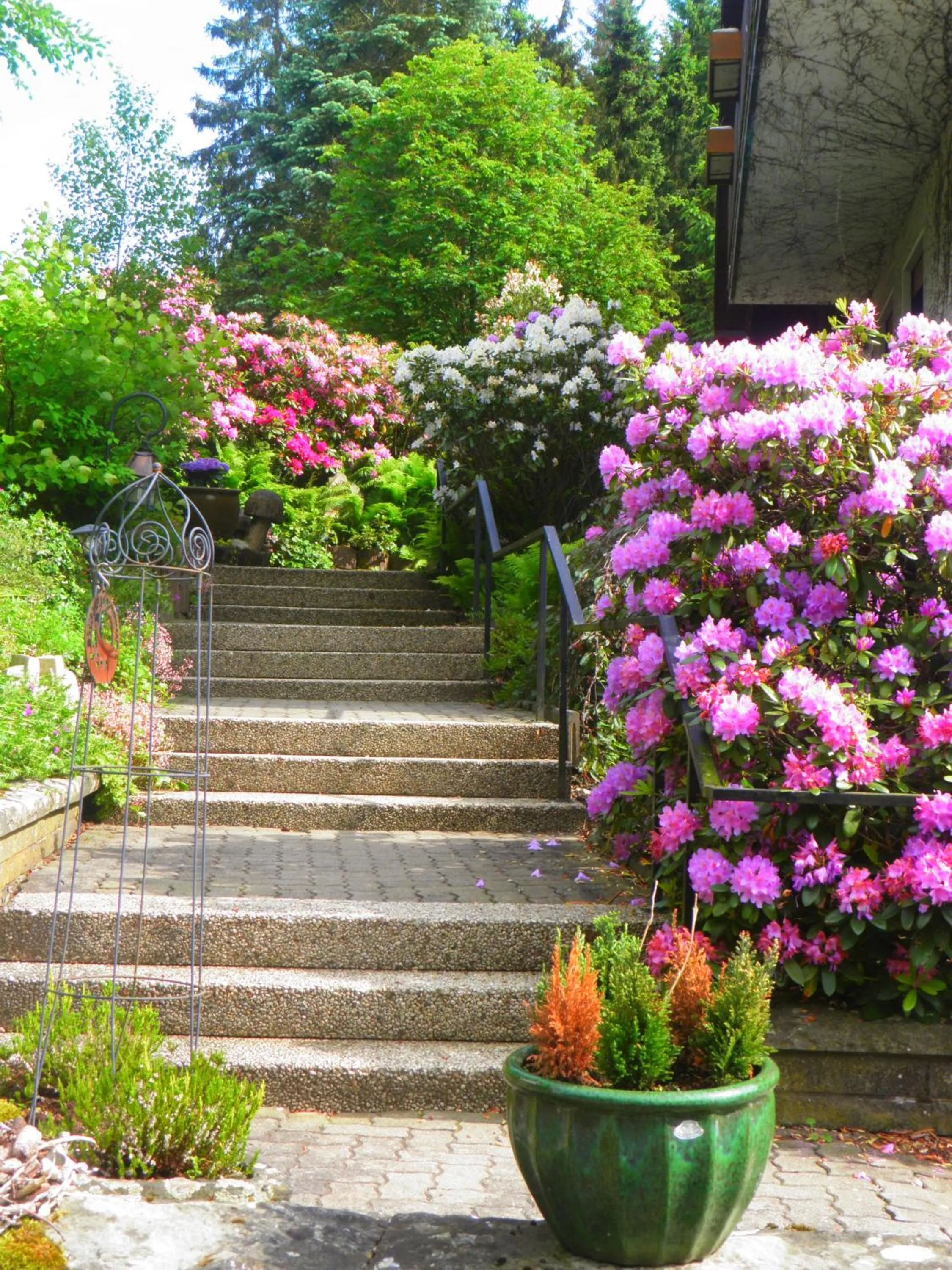 Summer in Gasthof Walhalja