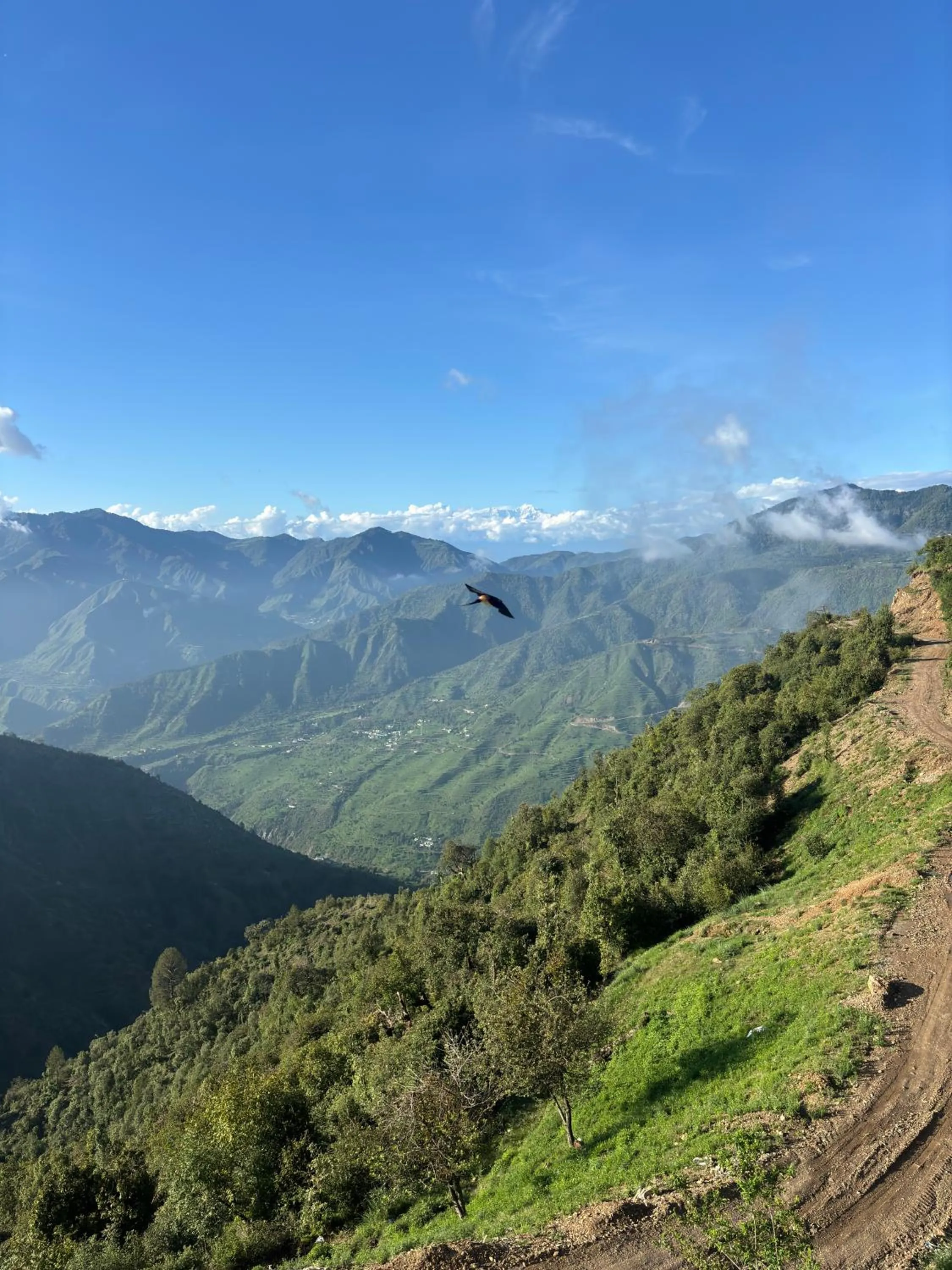 Rumuk Boutique Resort - Offbeat escape