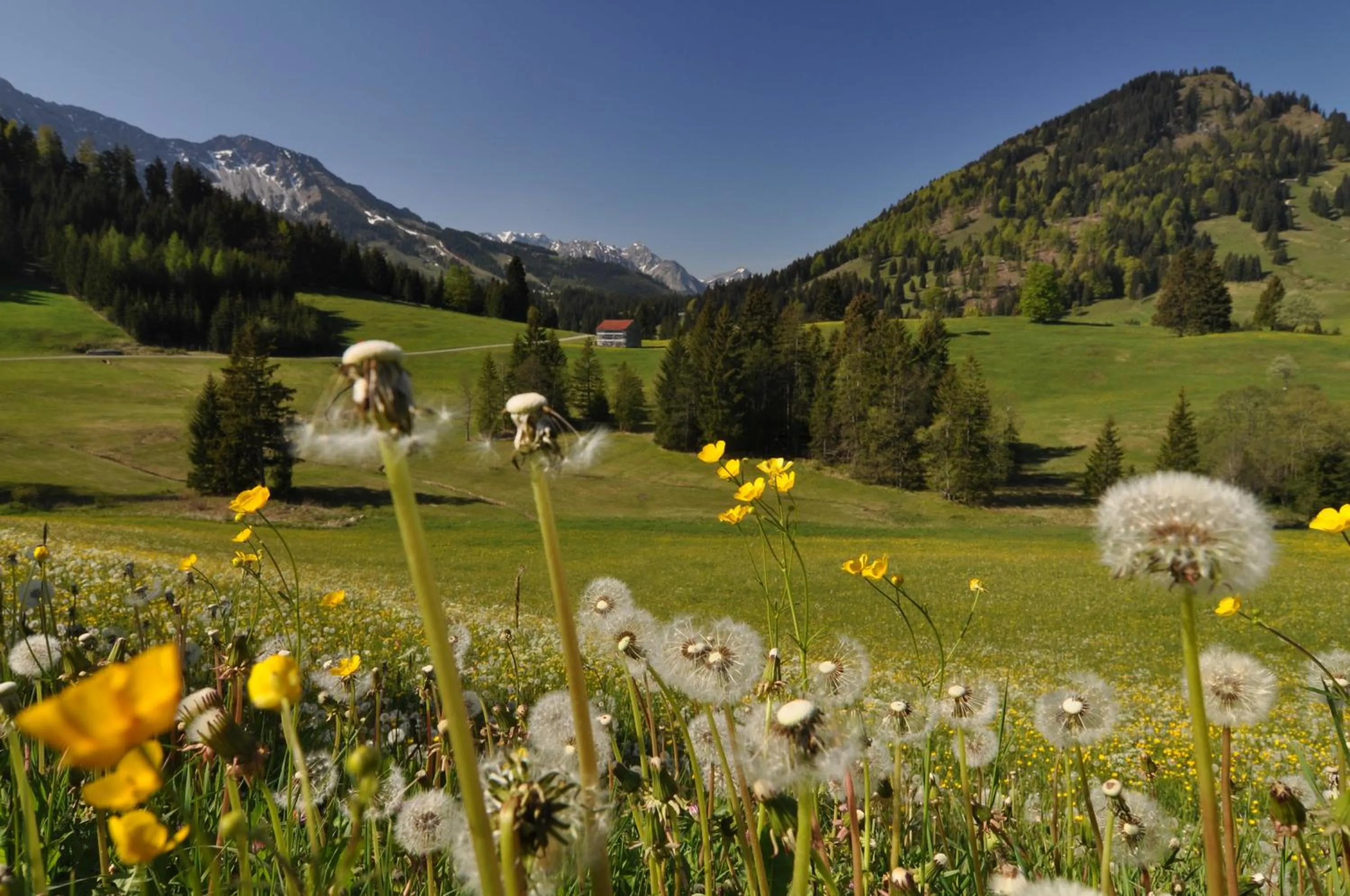 Spring in Landhotel Berghof