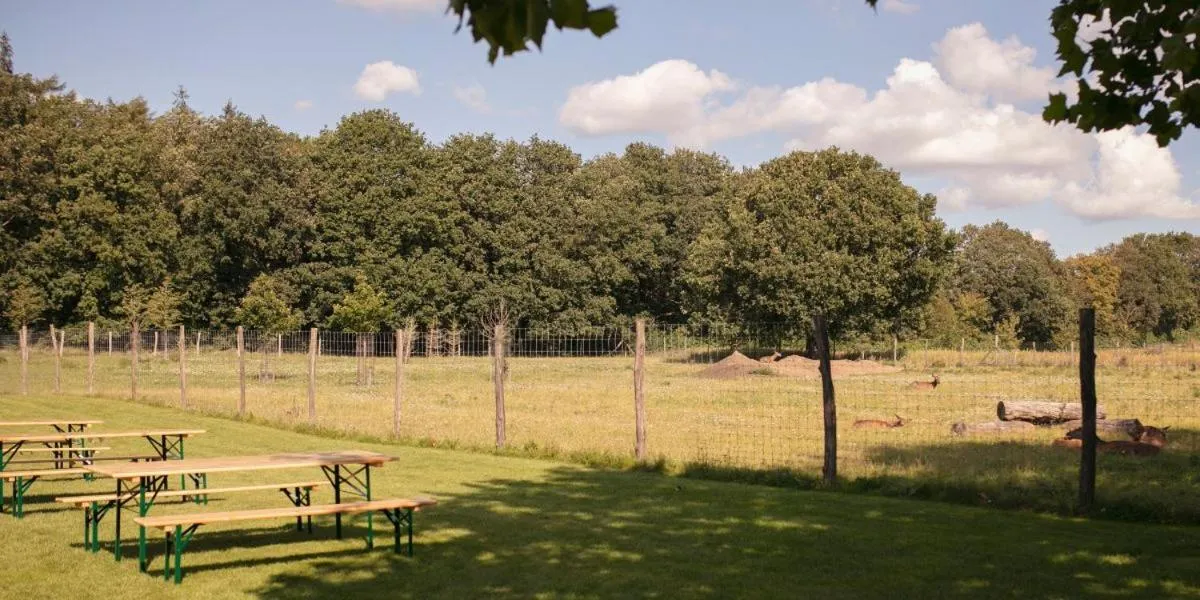 Garden in Fjelsted Skov Hotel & Konference