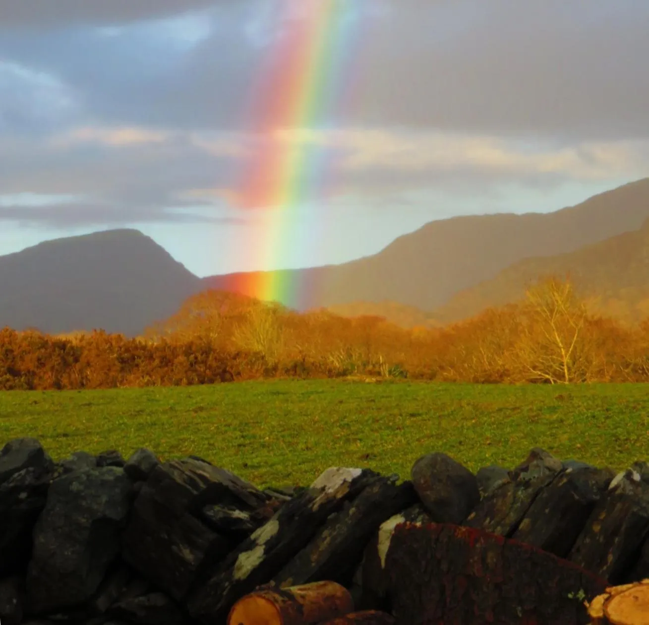 Natural landscape in Garth Engan Private Self Contained B&B with Garden Area
