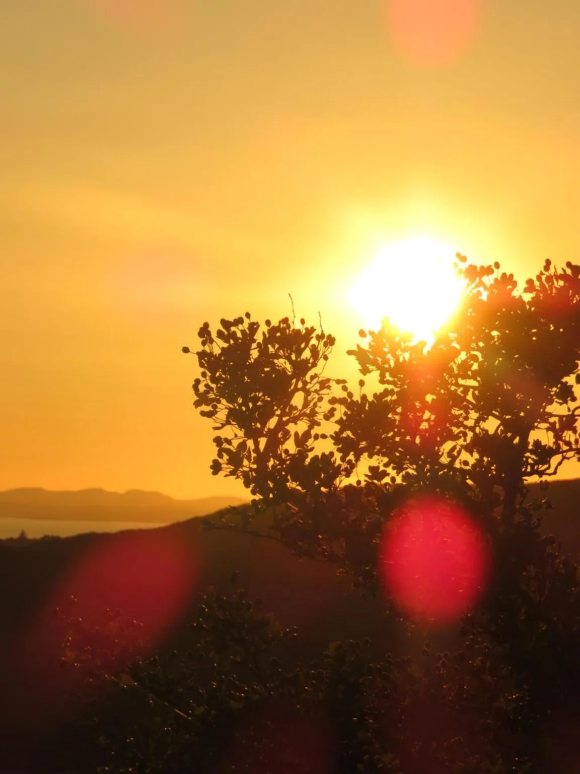 Natural landscape in Garth Engan Private Self Contained B&B with Garden Area