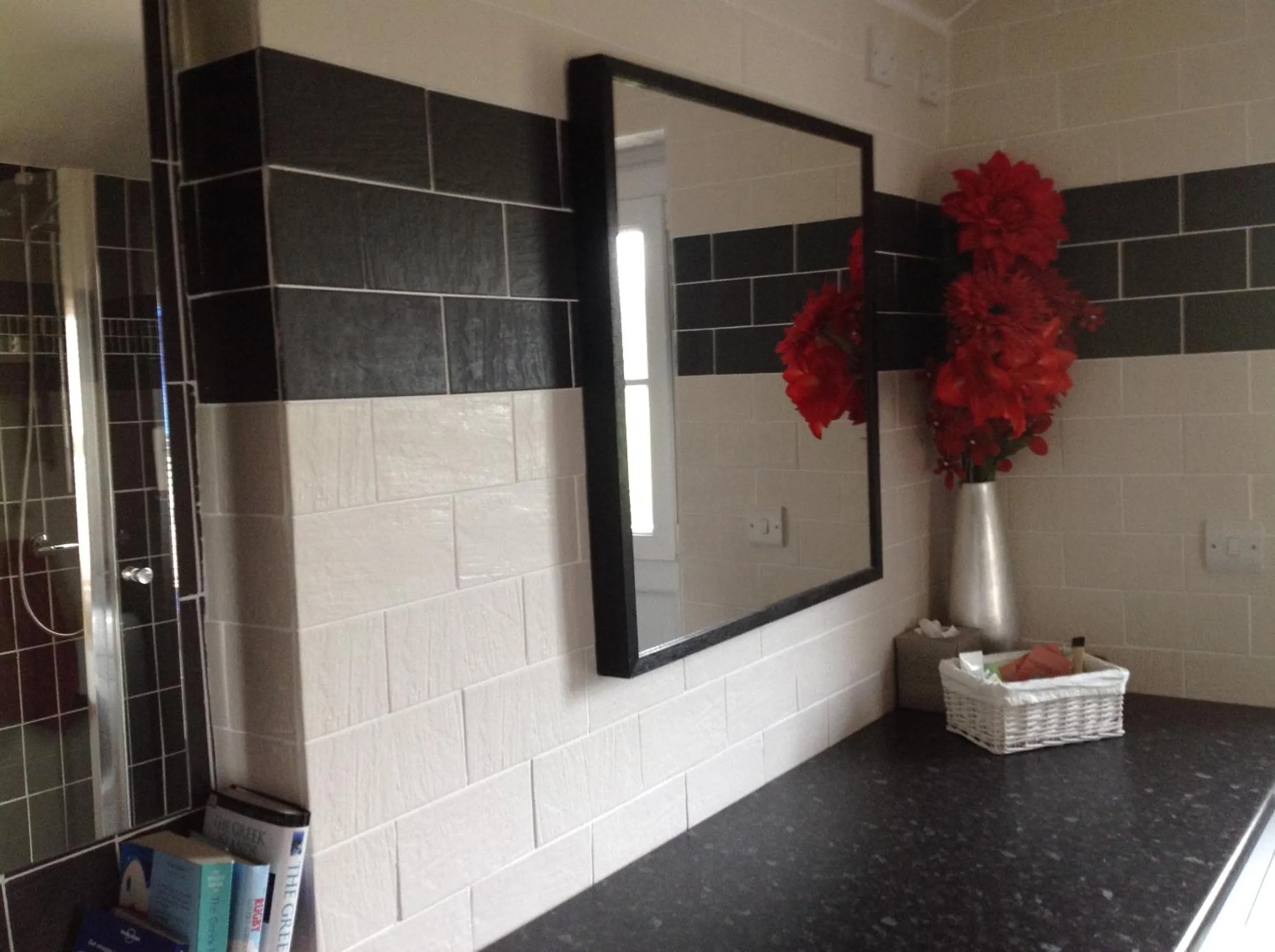 Shower in Garth Engan Private Self Contained B&B with Garden Area