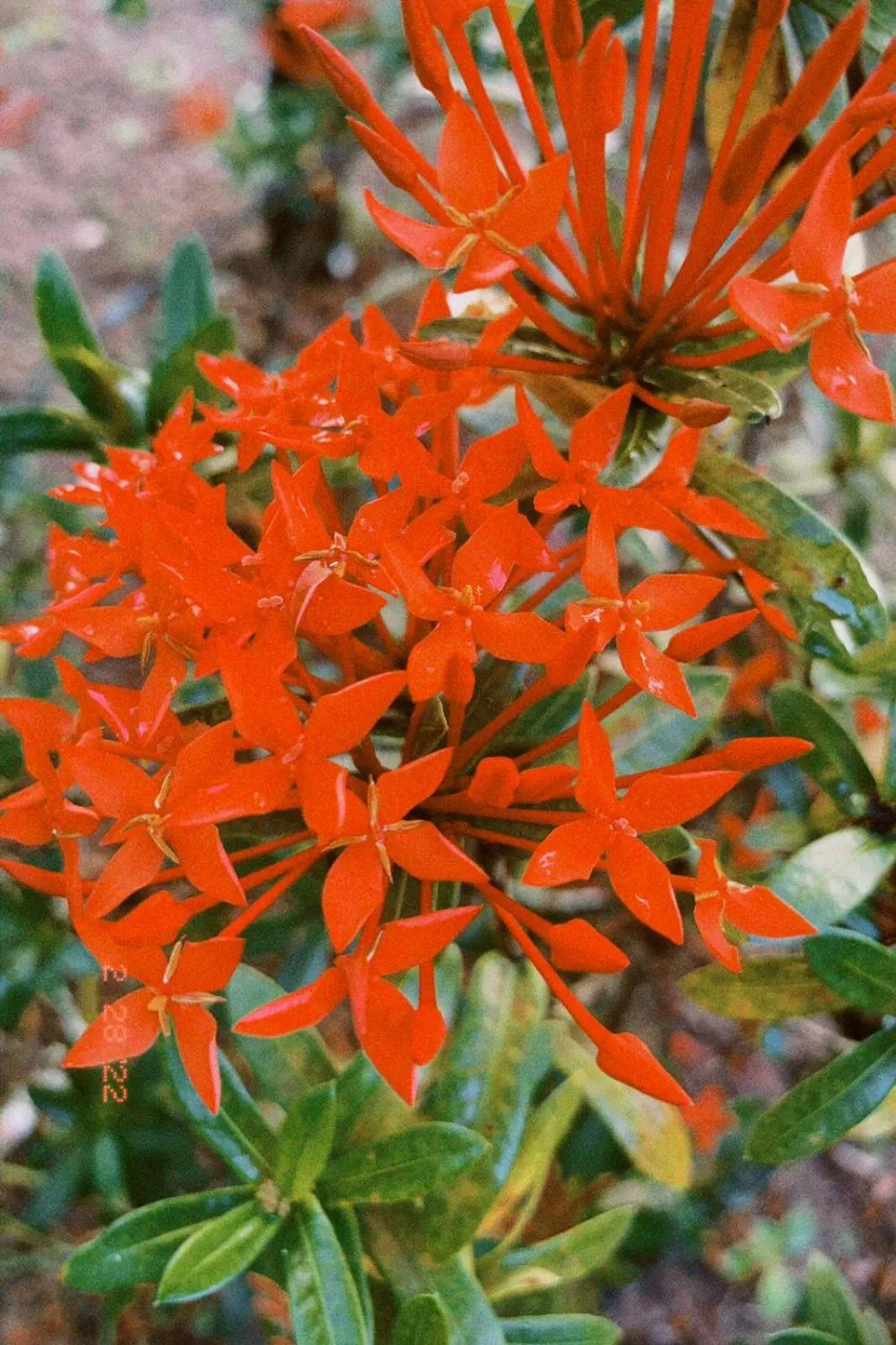 Day in Suites de Charme Amoremio