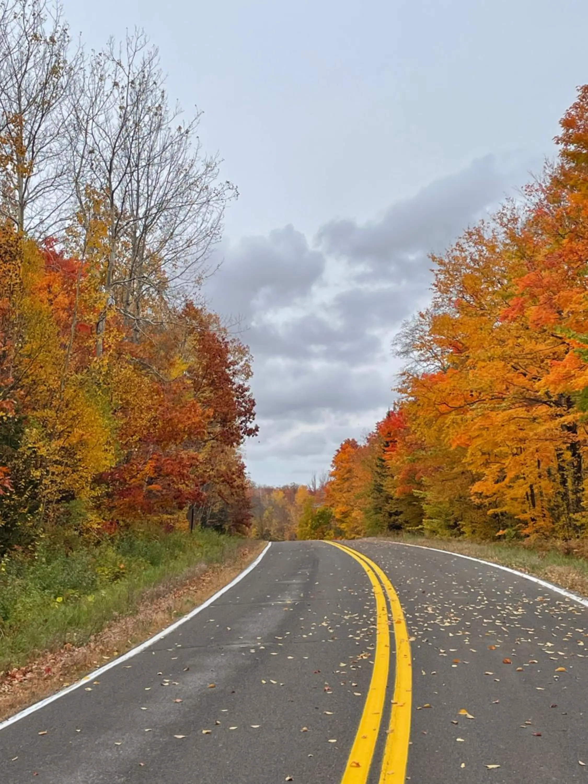 Natural landscape in Davos Chalet