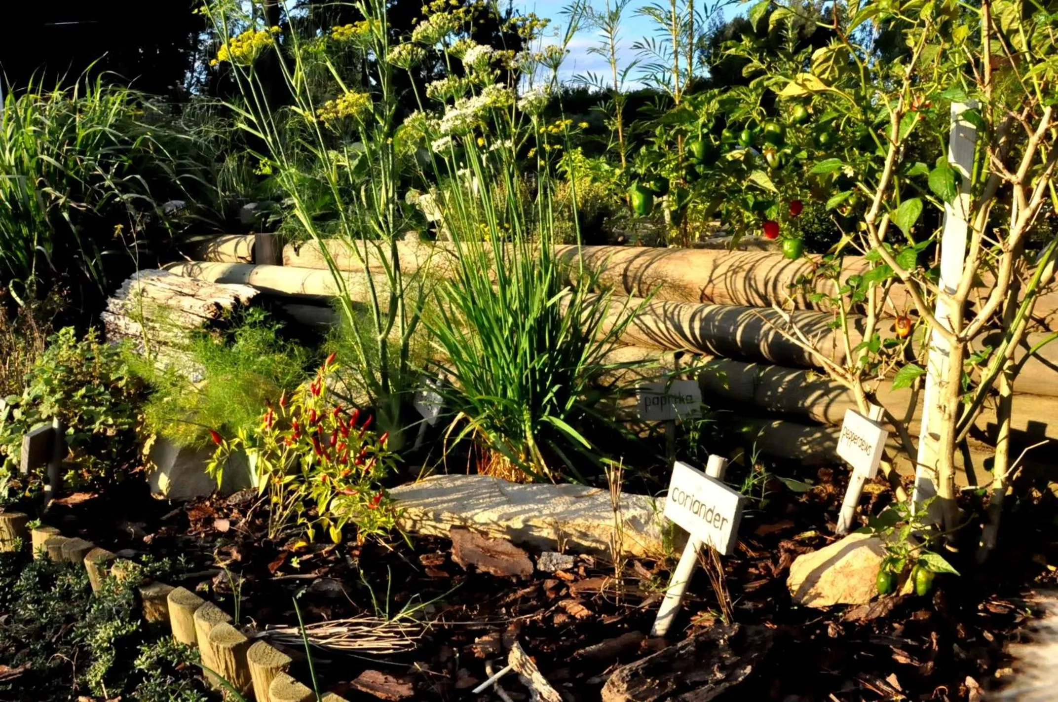 Woodlands Self Catering