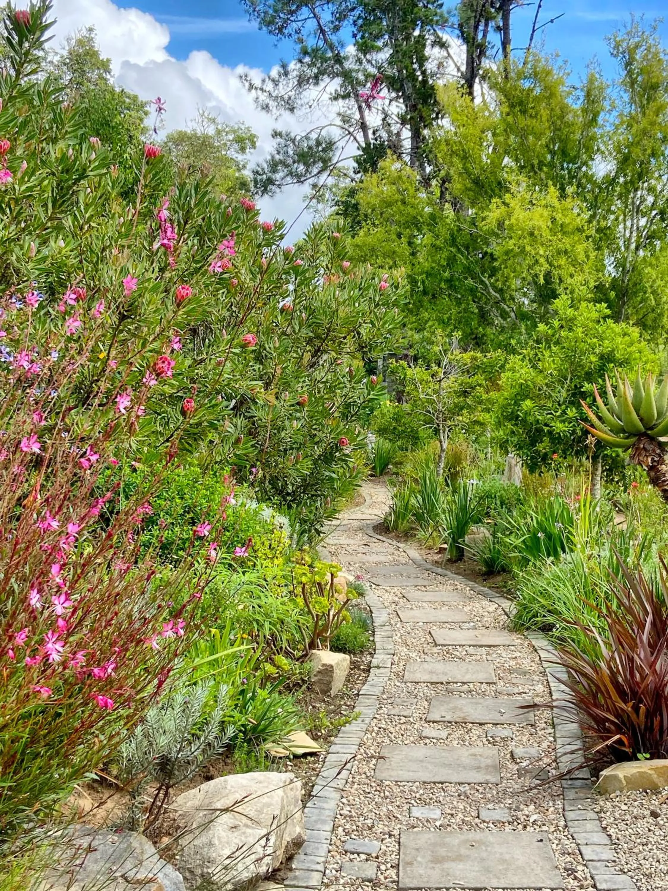 Property building in Woodlands Self Catering