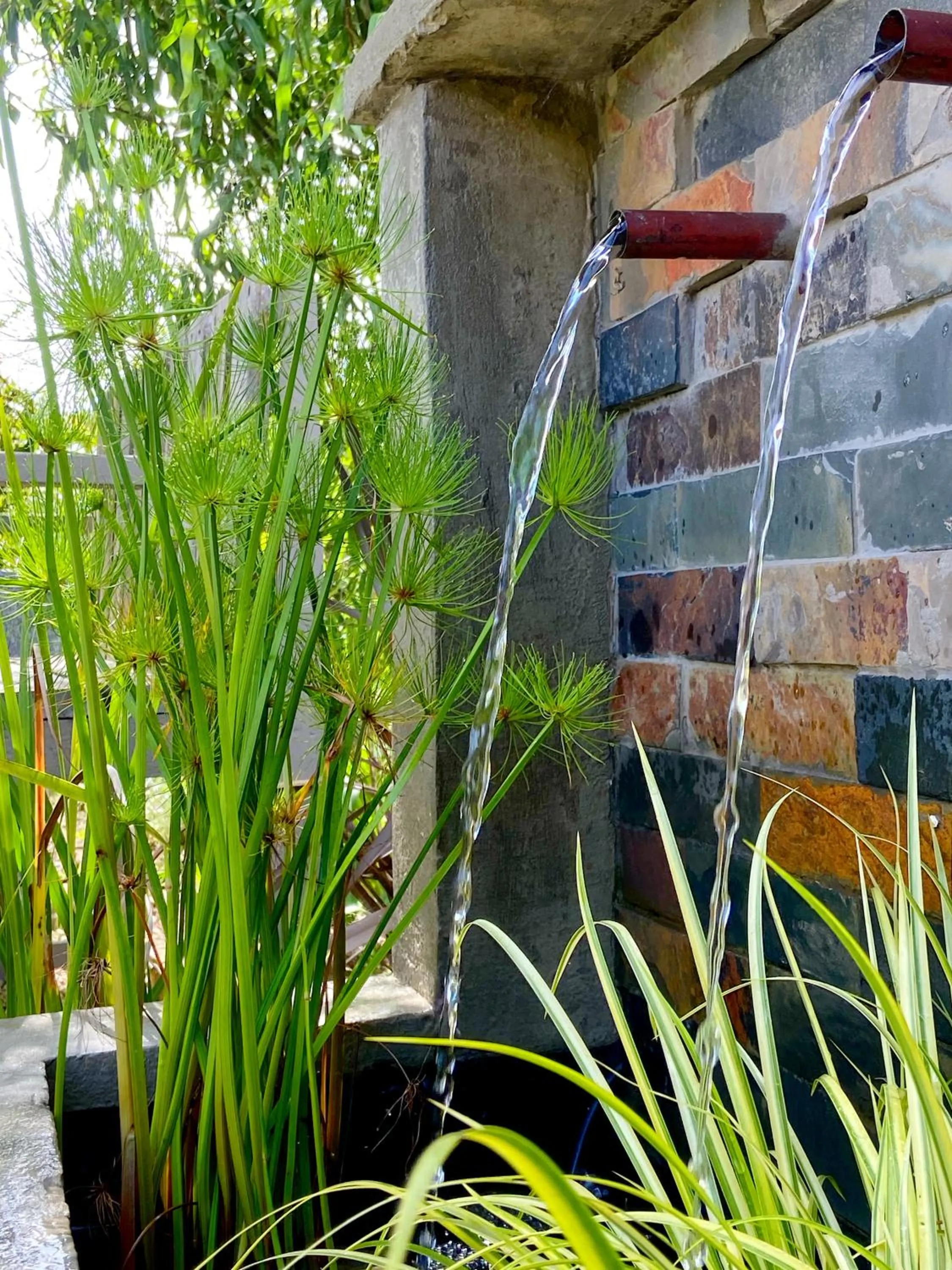 Garden in Woodlands Self Catering