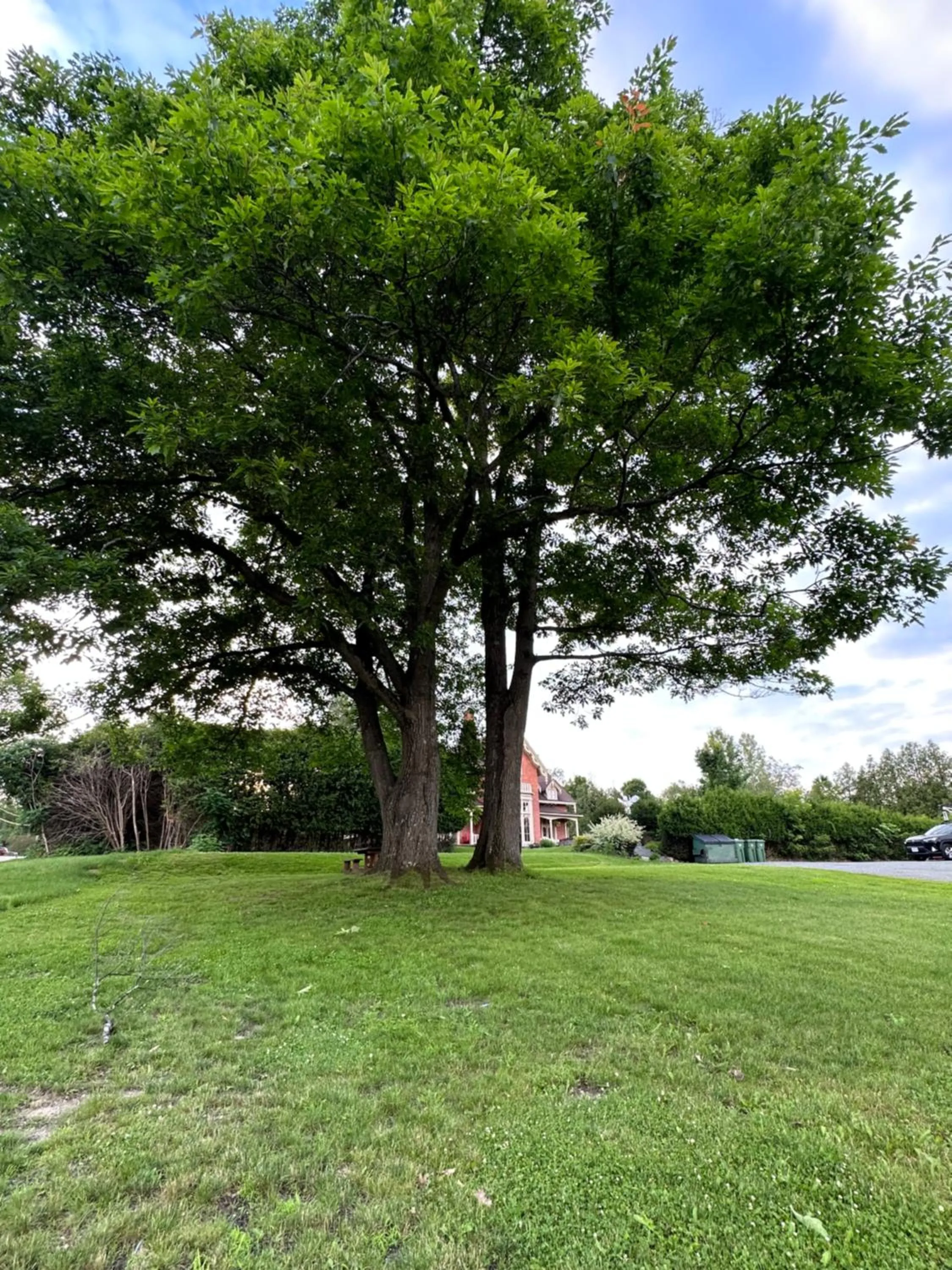 Property building in Motel Le Refuge