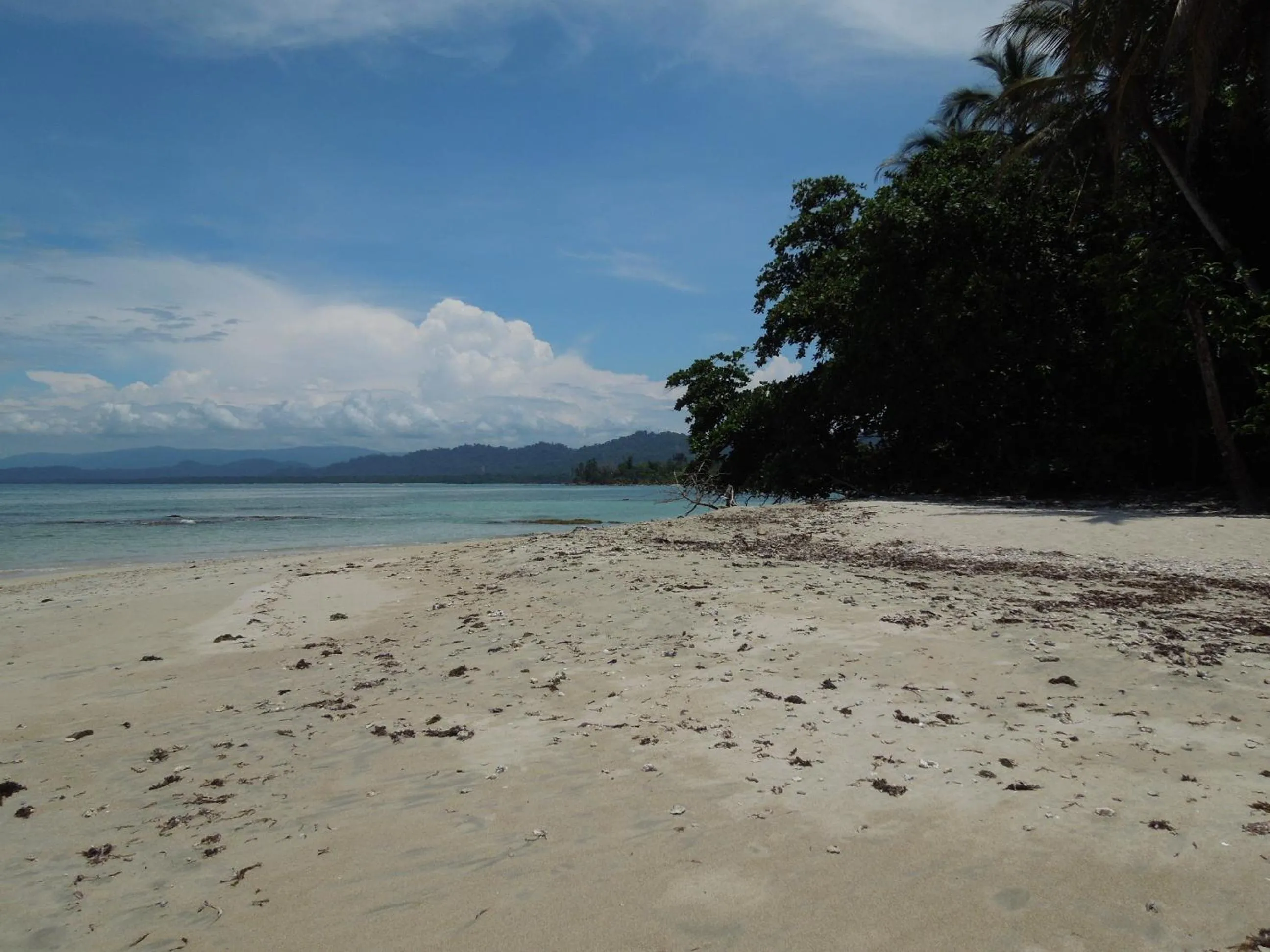 Beach in Casitas Las Flores