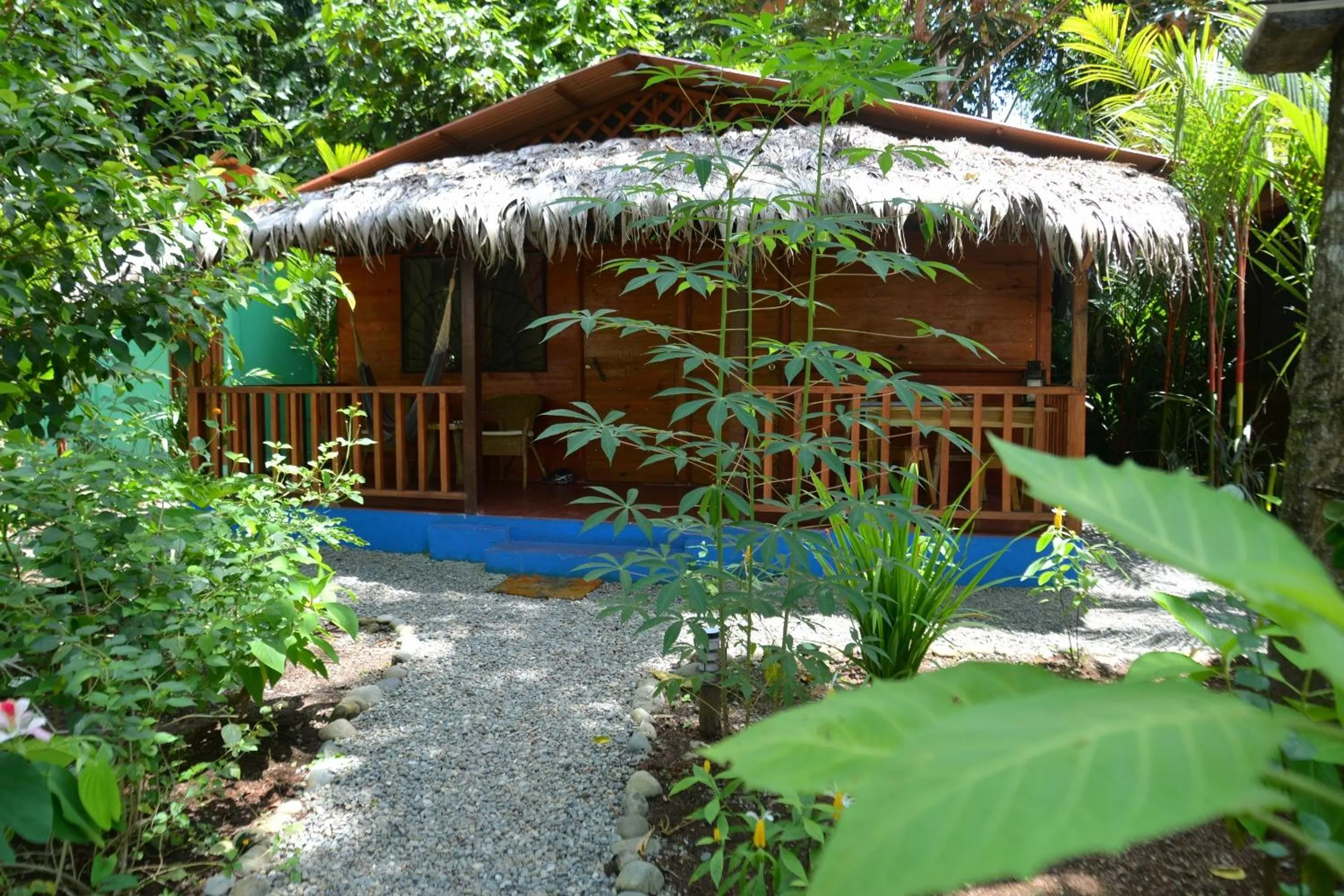 Garden in Casitas Las Flores