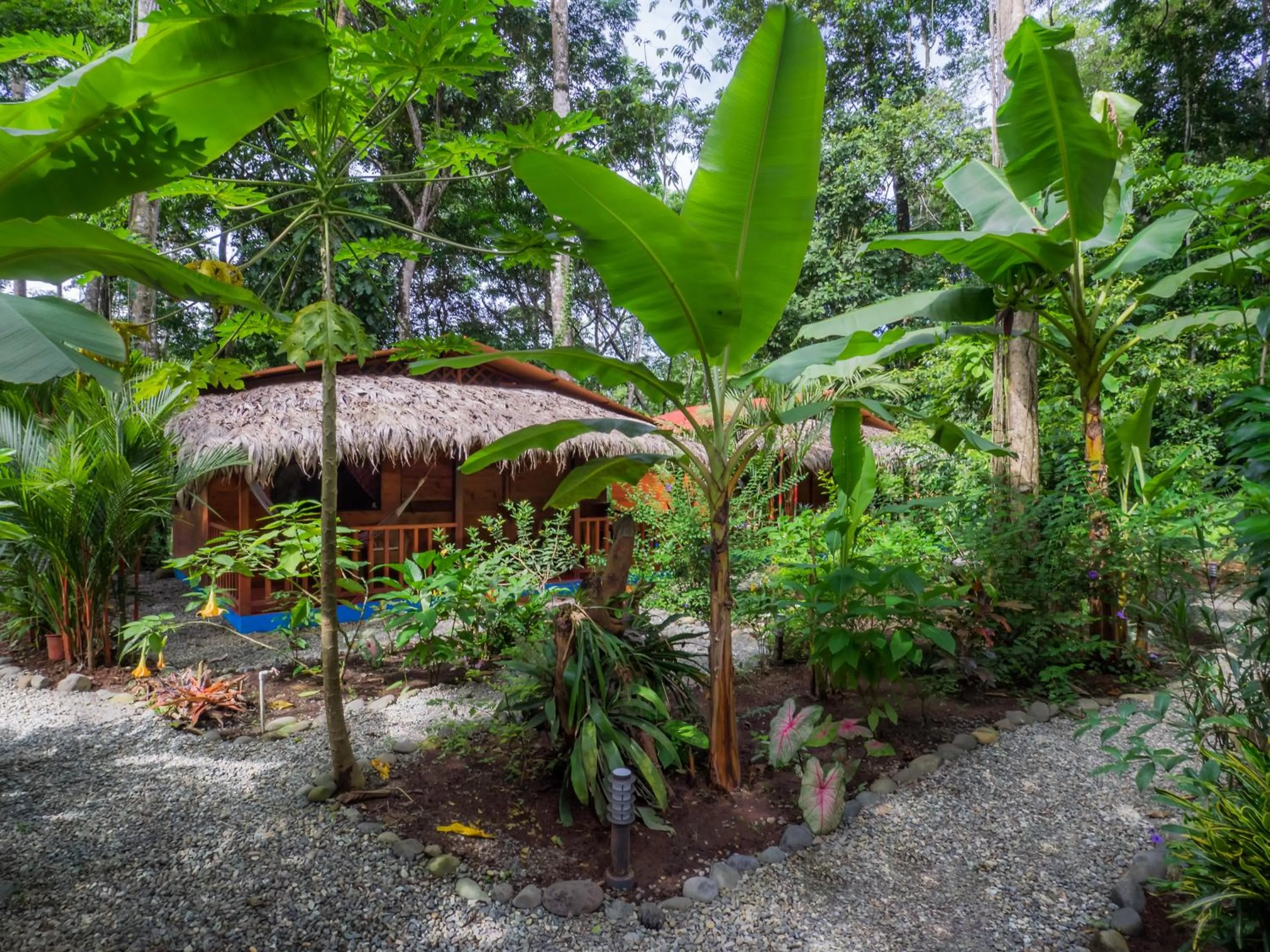 Garden in Casitas Las Flores