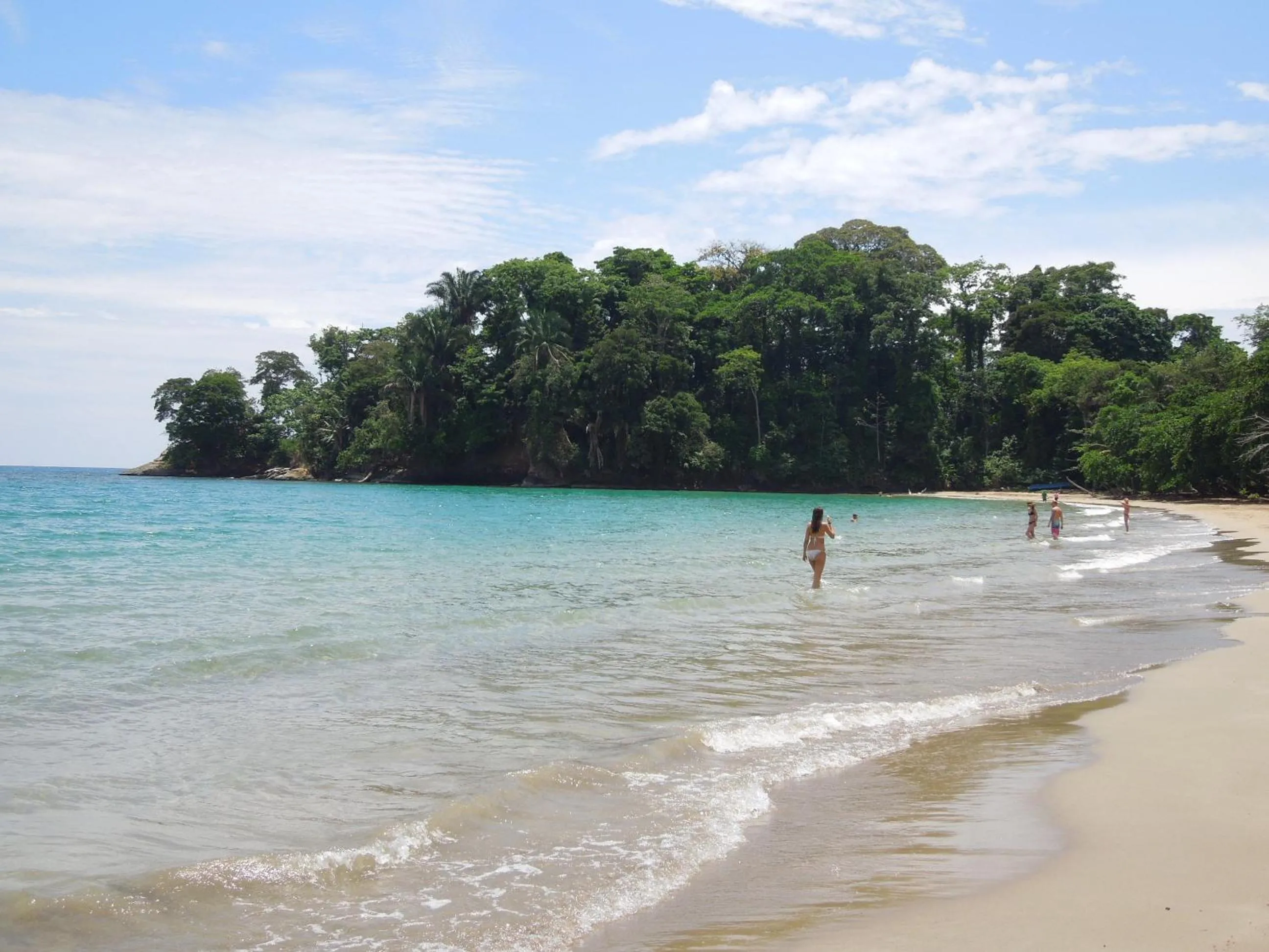 Beach in Casitas Las Flores