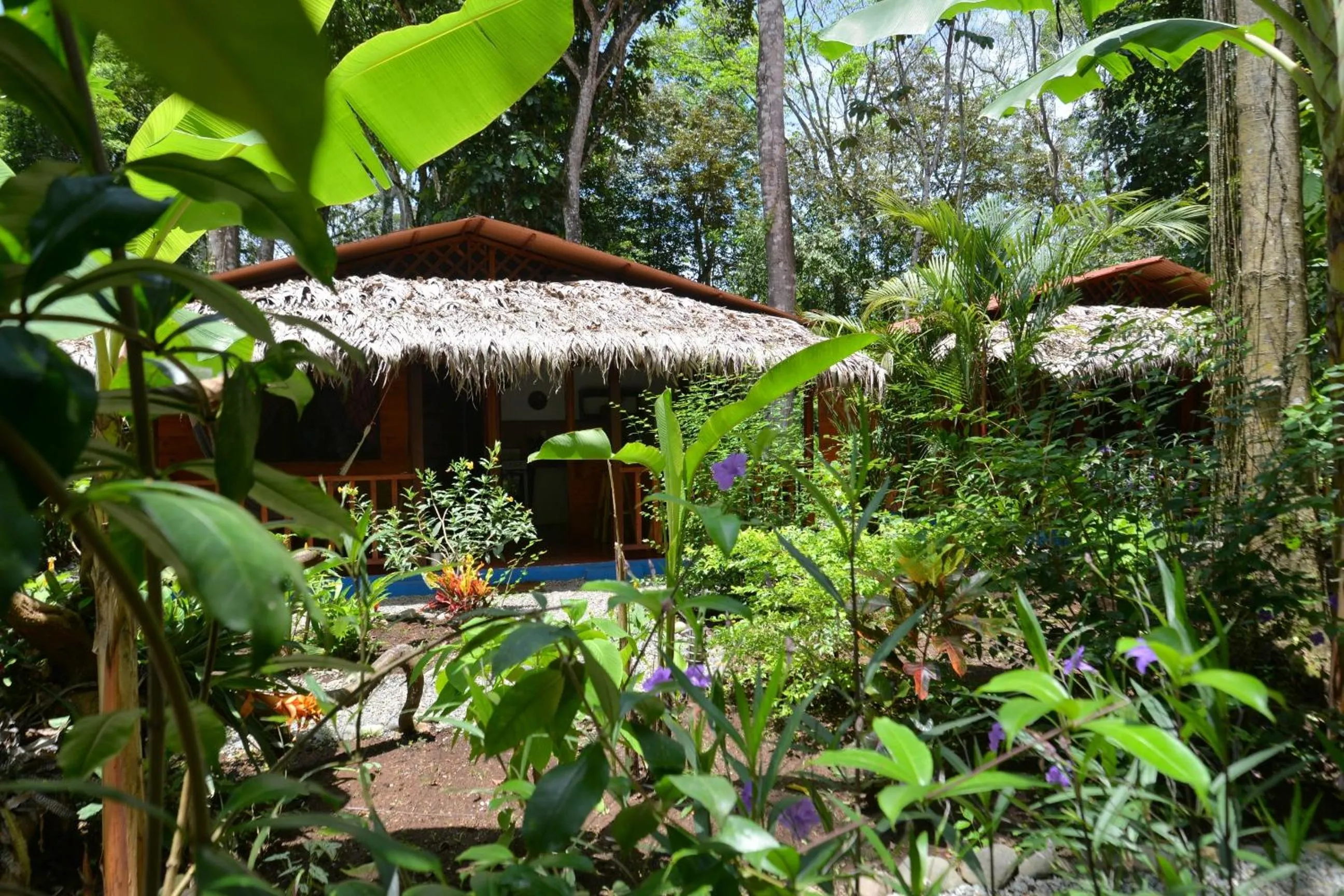 Garden in Casitas Las Flores