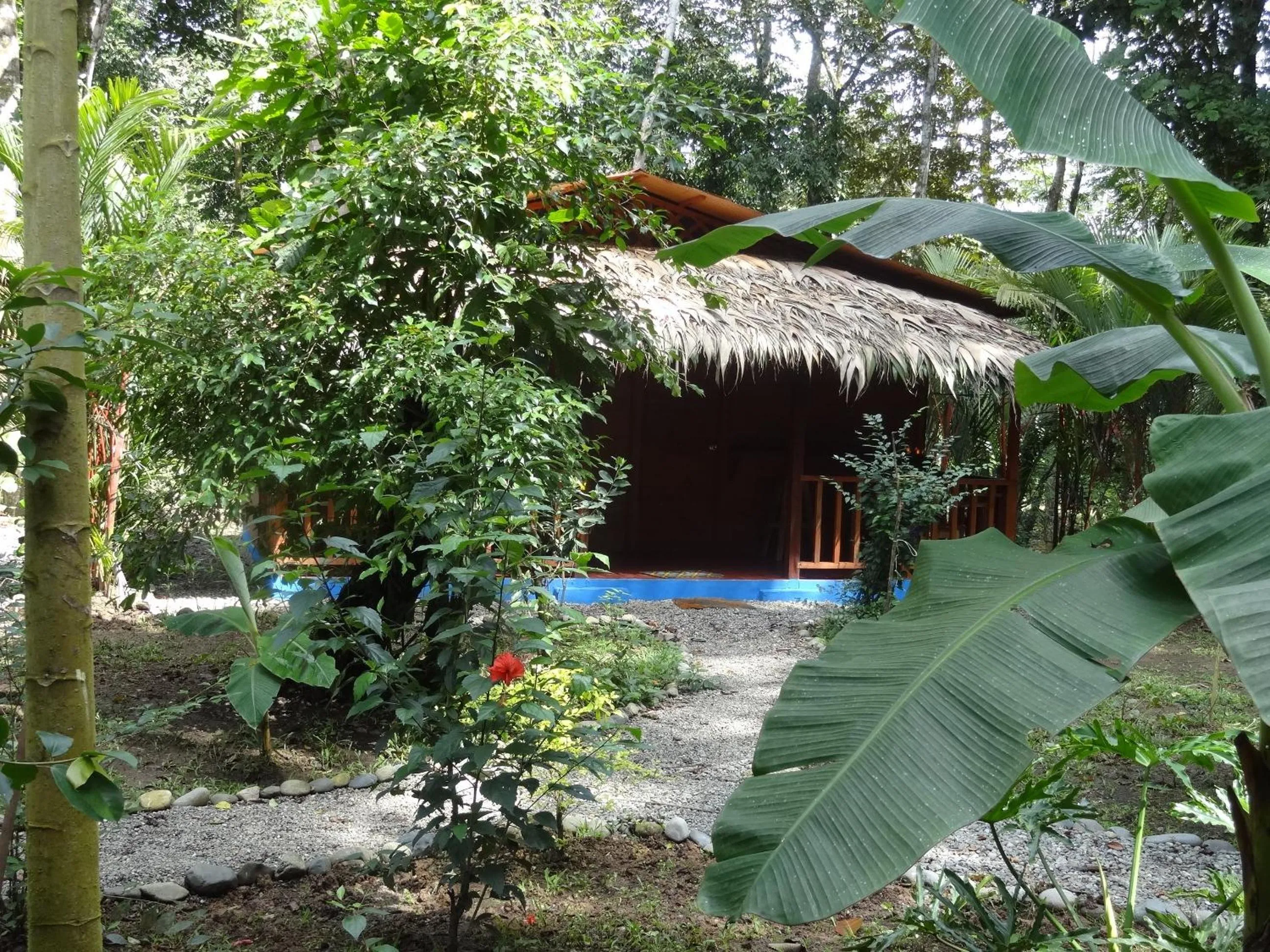 Natural landscape in Casitas Las Flores