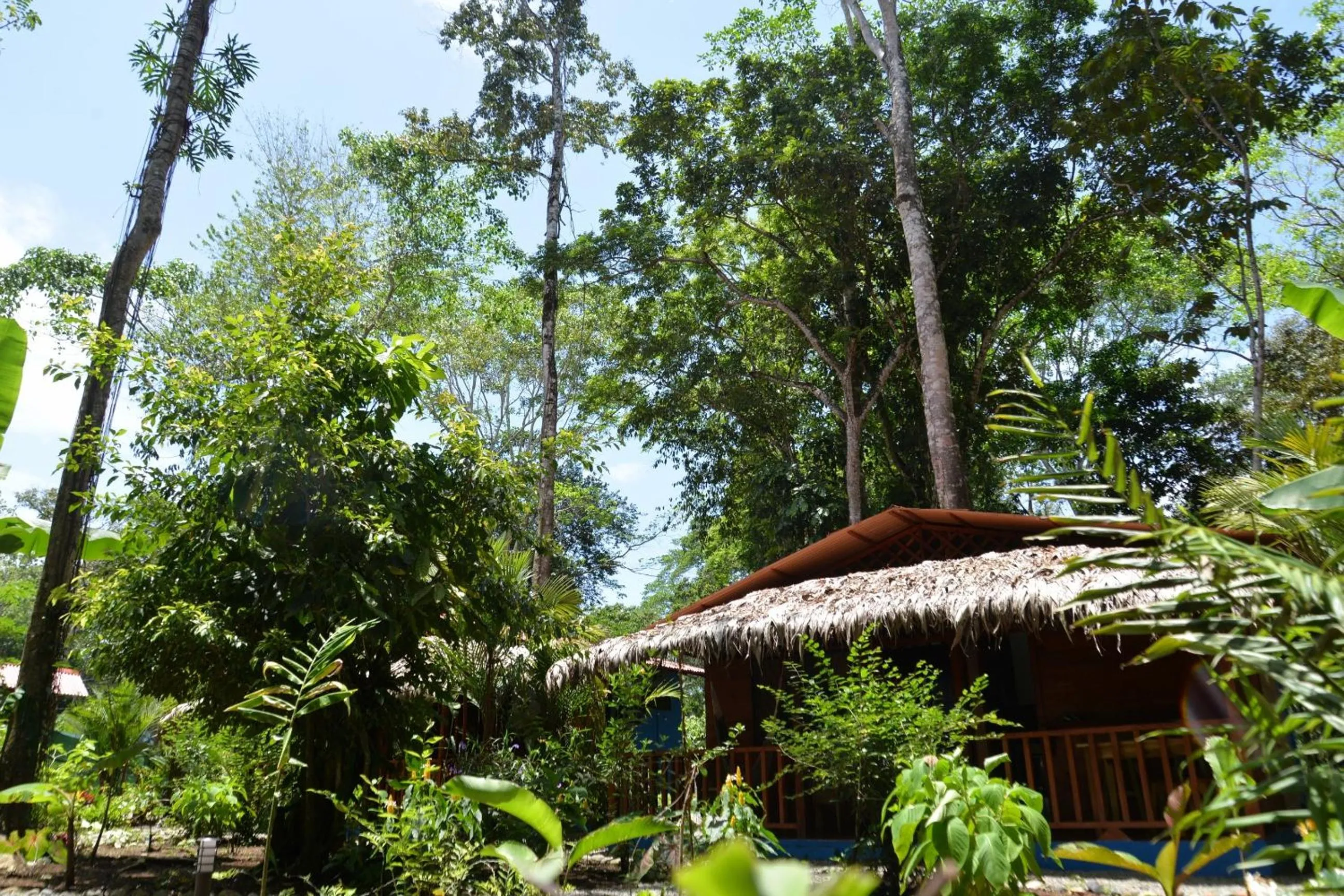 Garden in Casitas Las Flores