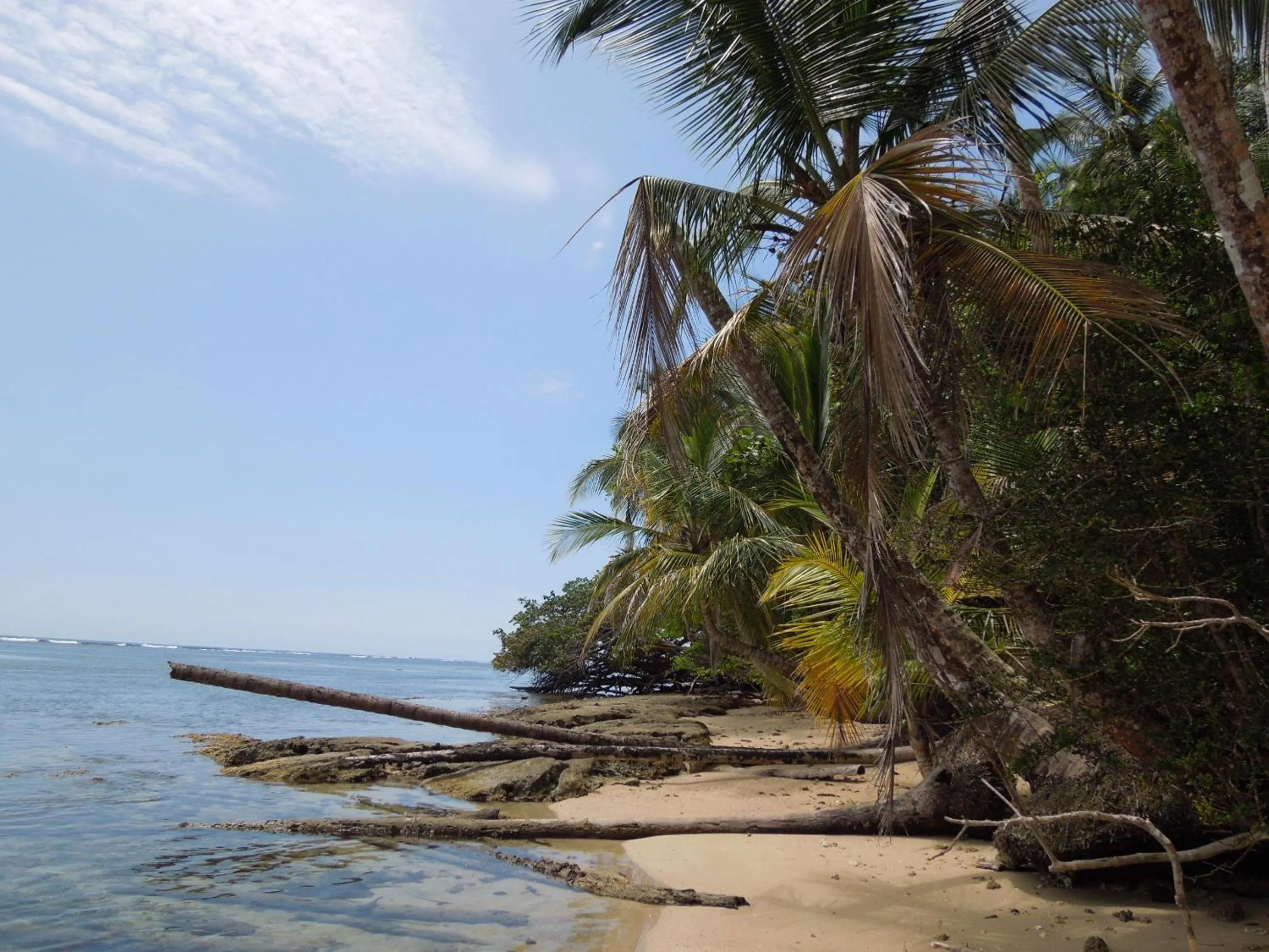 Beach in Casitas Las Flores