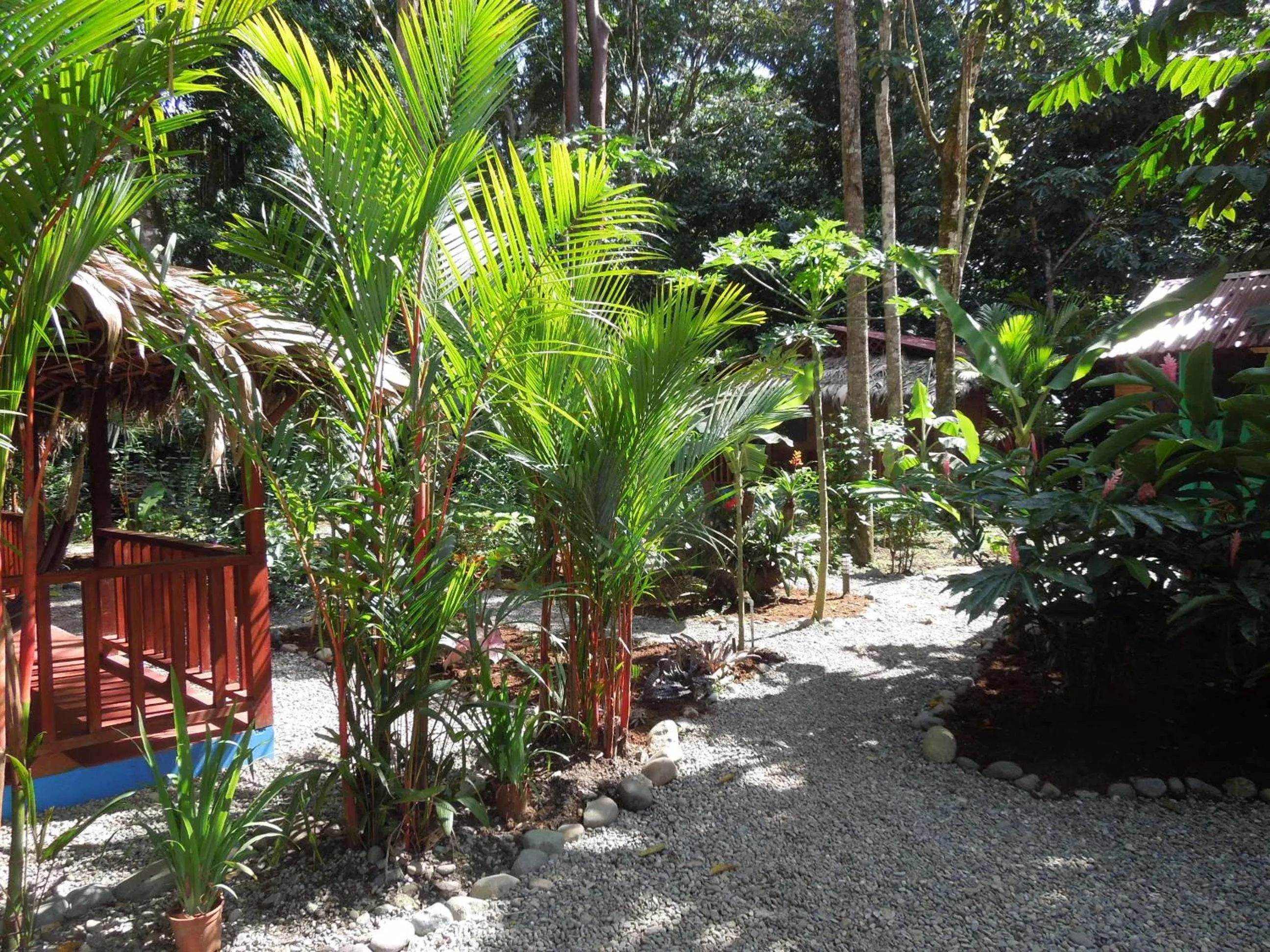 Garden in Casitas Las Flores