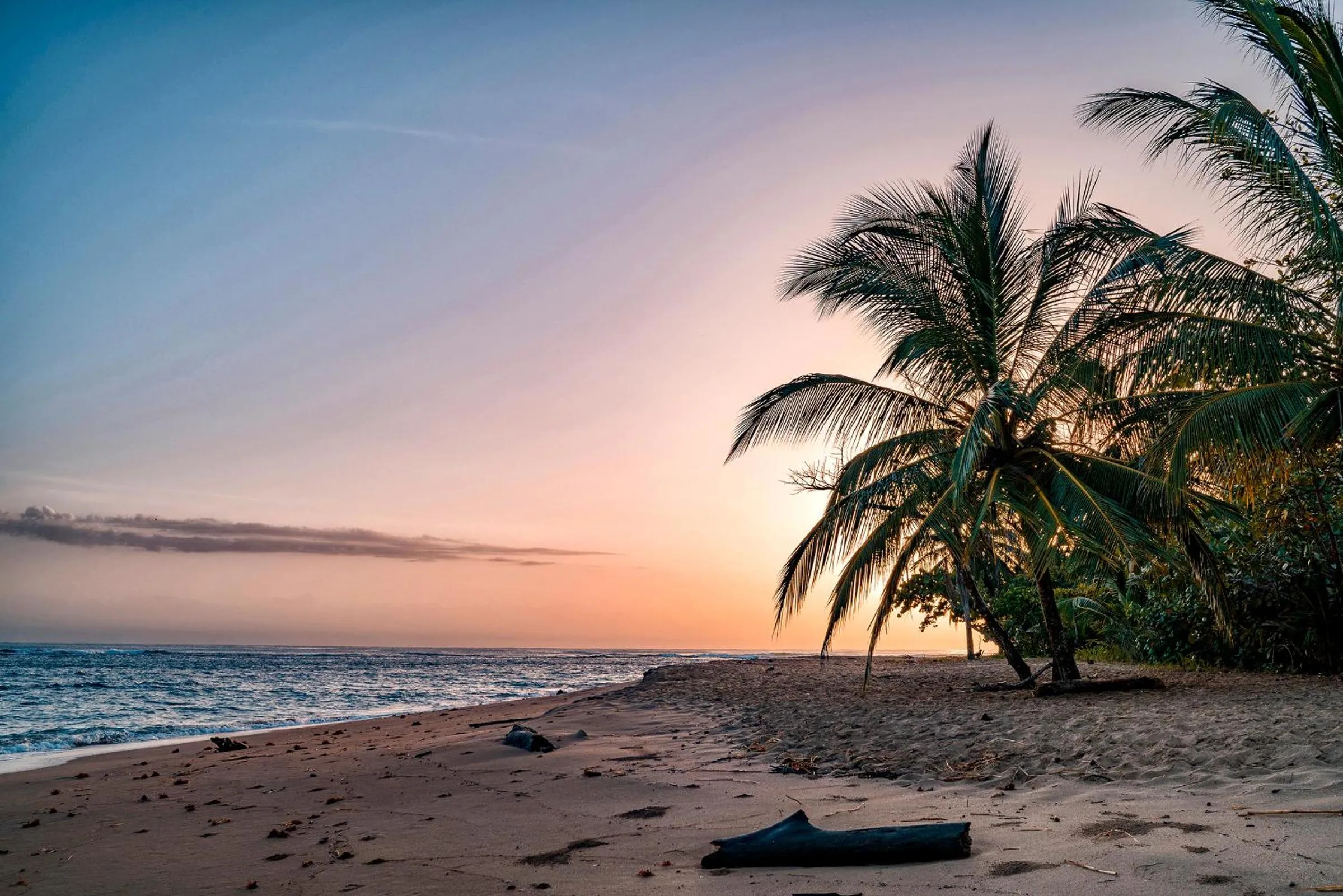 Beach in Casitas Las Flores