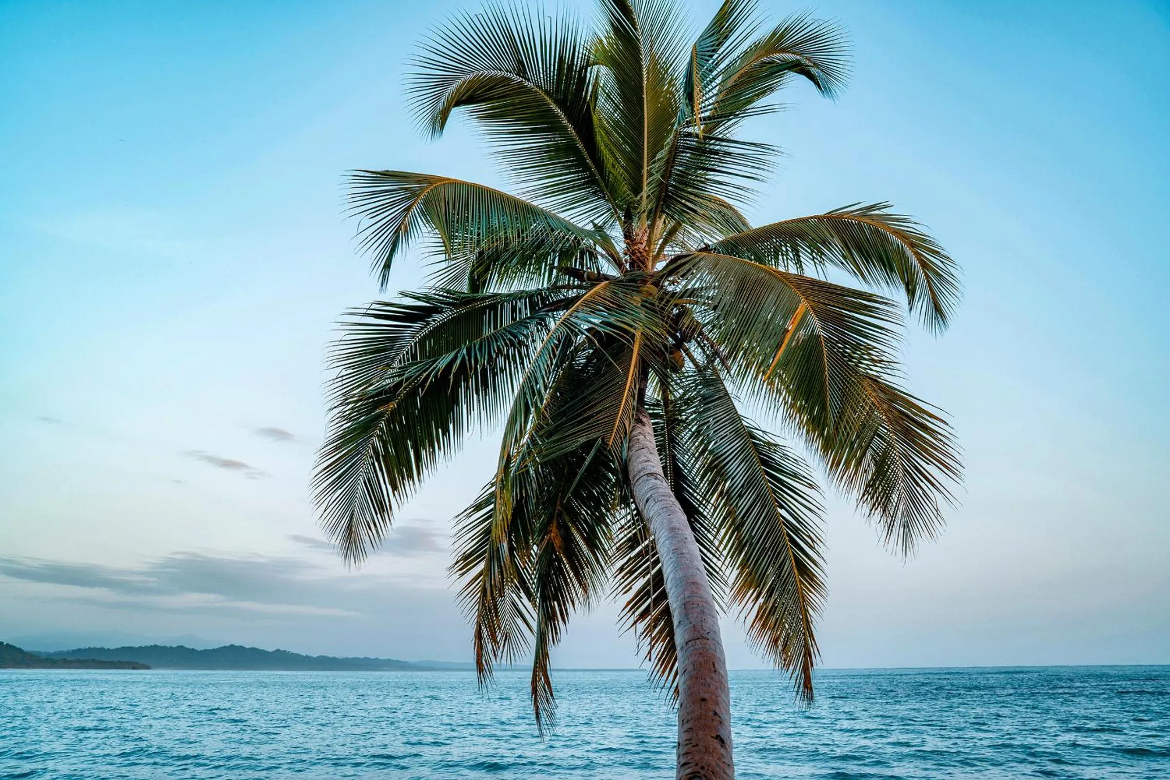 Beach in Casitas Las Flores