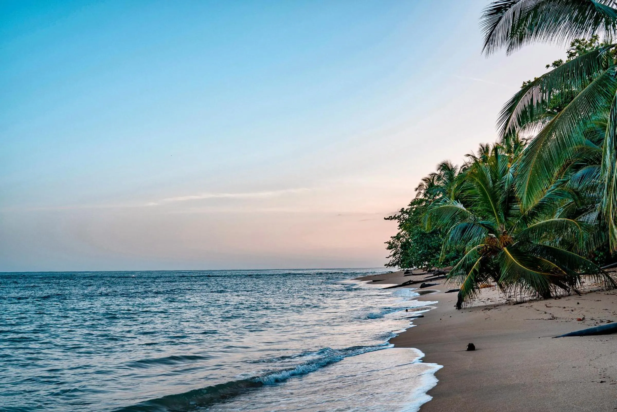 Beach in Casitas Las Flores