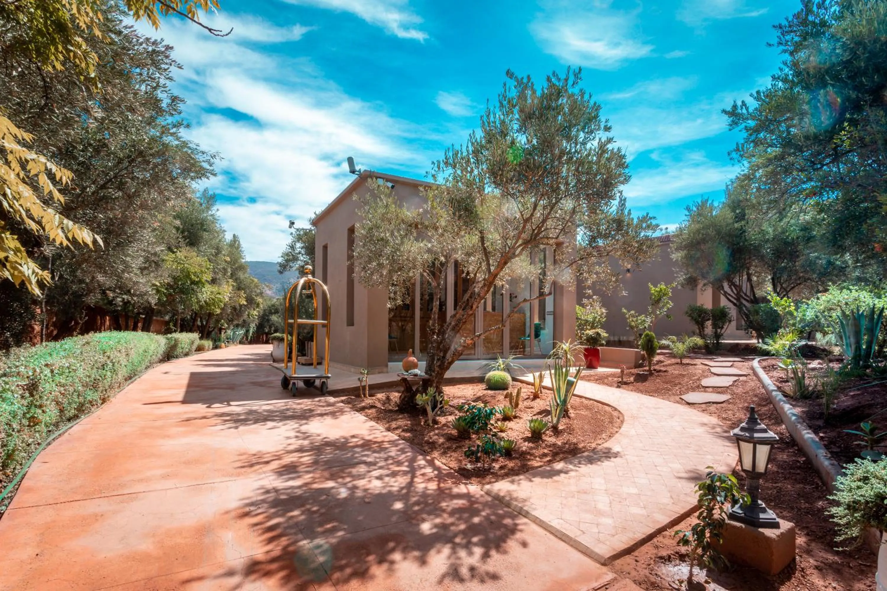 Garden in Atlas Luxury Garden