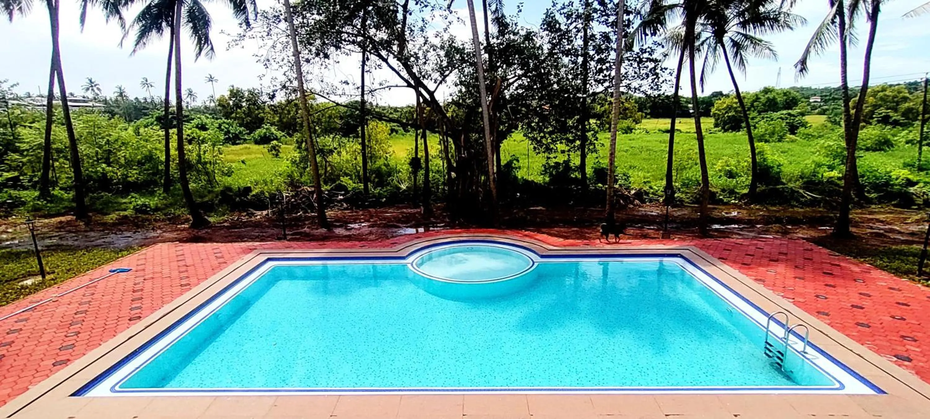 Pool view in Seclude Eco Cottages
