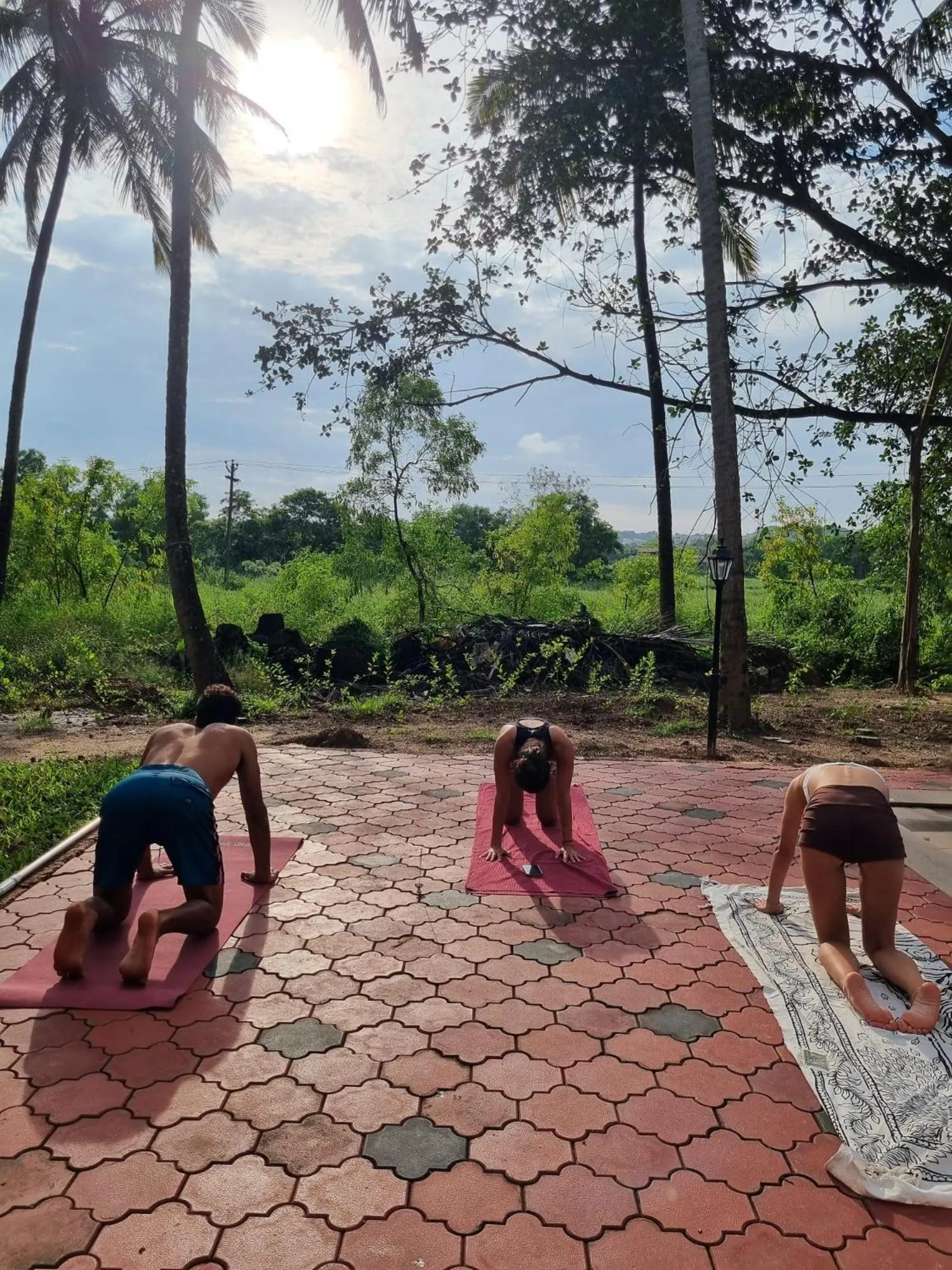 Entertainment in Seclude Eco Cottages