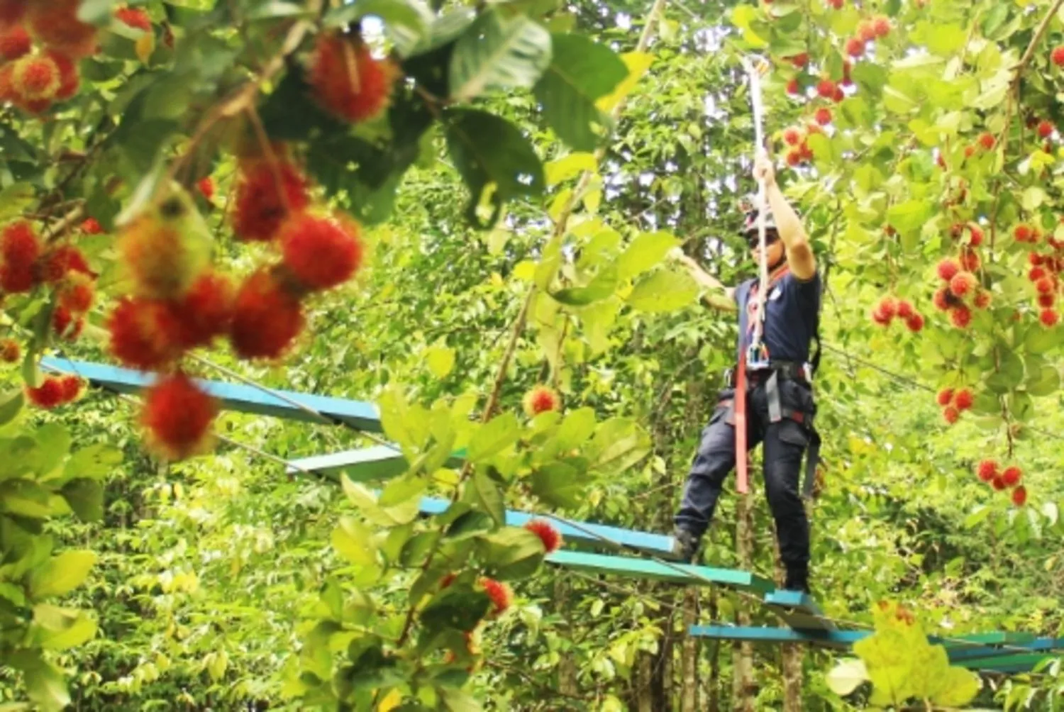 Sports in The Orchard Wellness & Health Resort