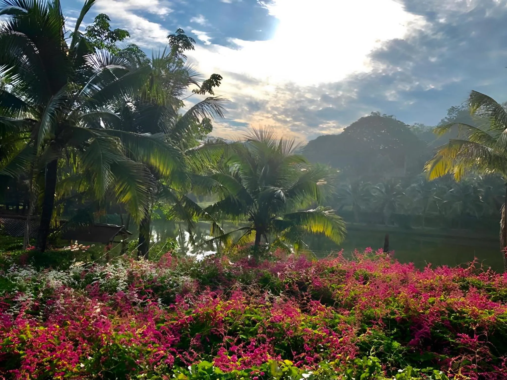 View (from property/room) in The Orchard Wellness & Health Resort