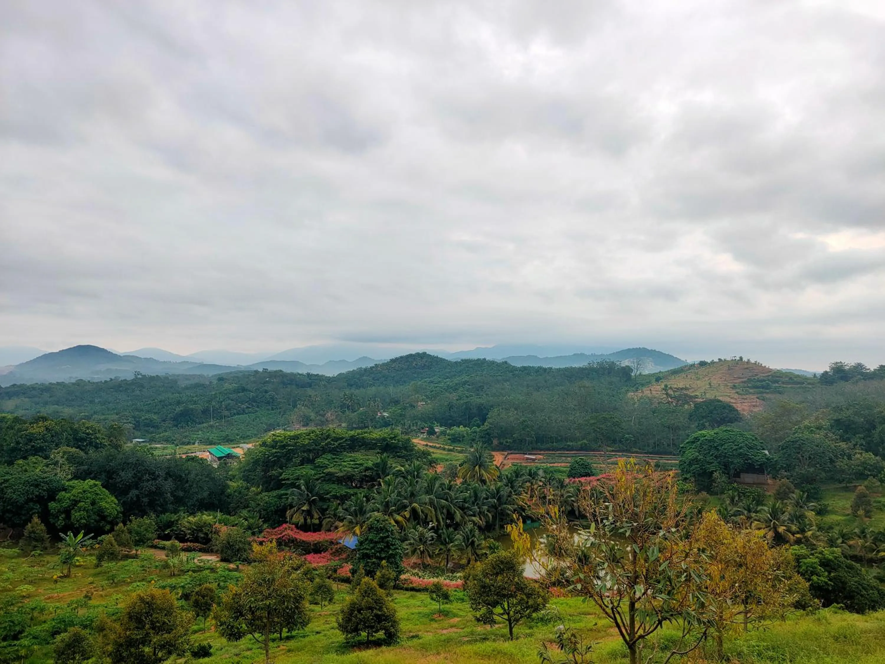 View (from property/room) in The Orchard Wellness & Health Resort