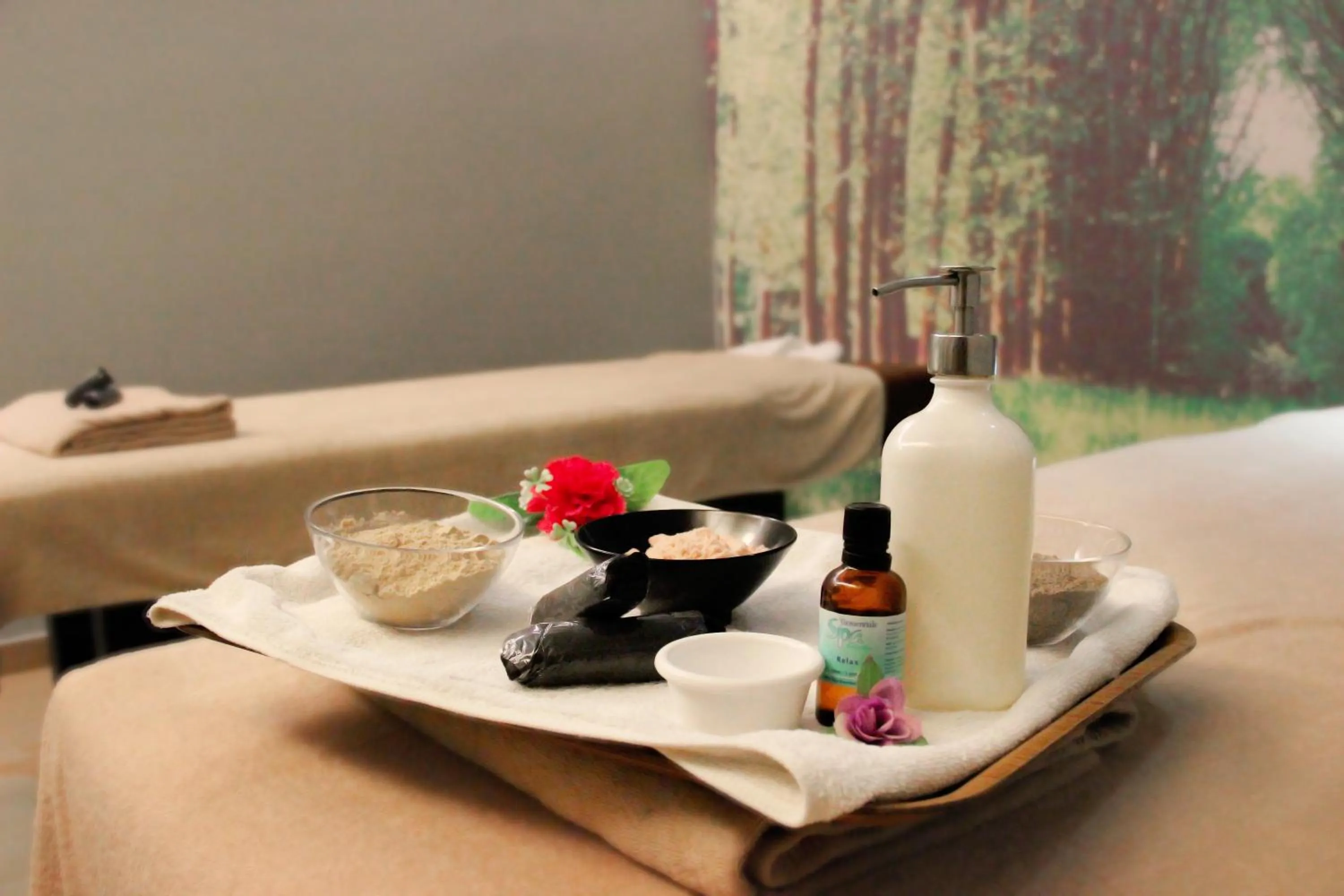 Spa and wellness centre/facilities in The Orchard Wellness & Health Resort