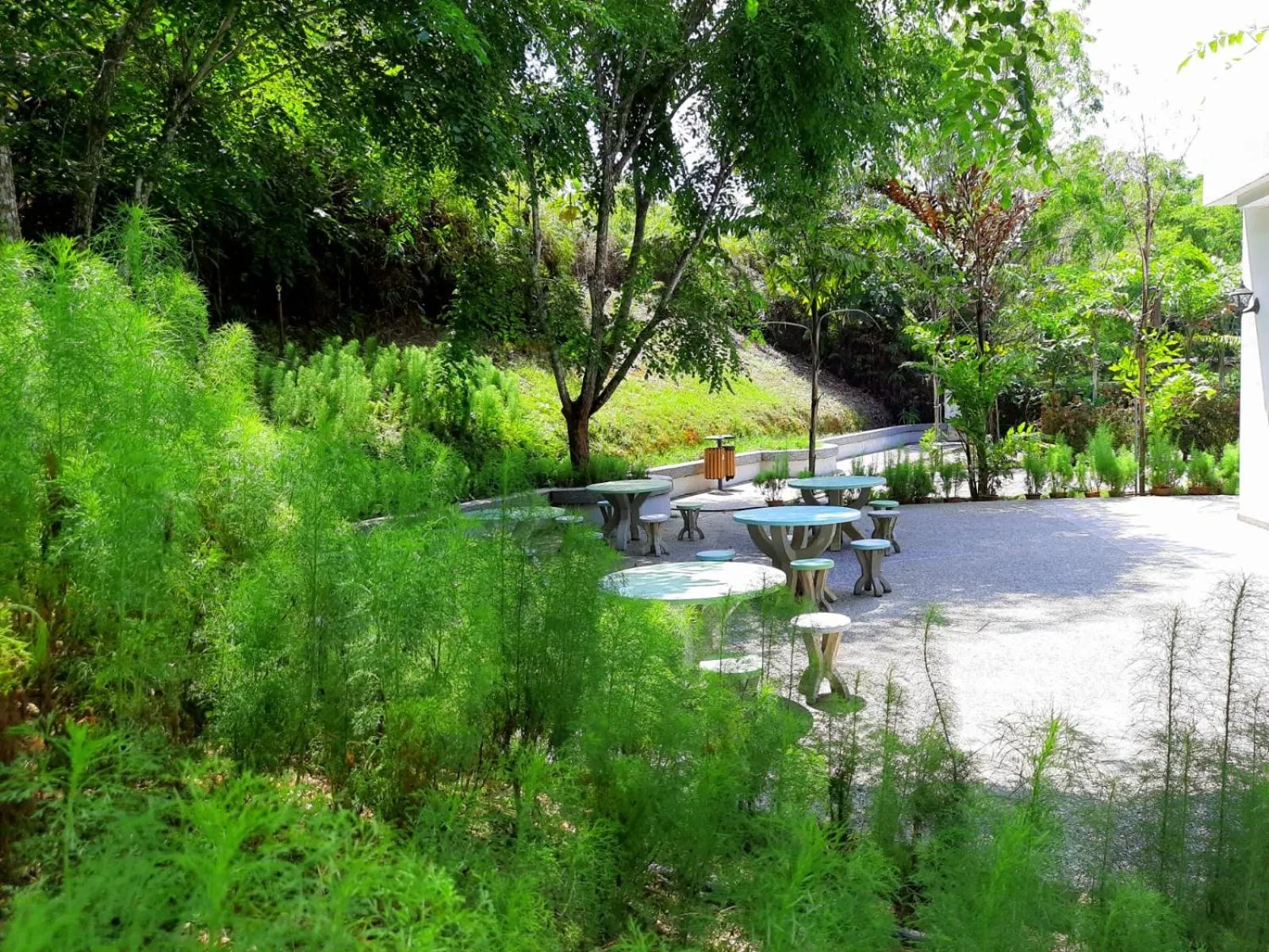 Natural landscape in The Orchard Wellness & Health Resort