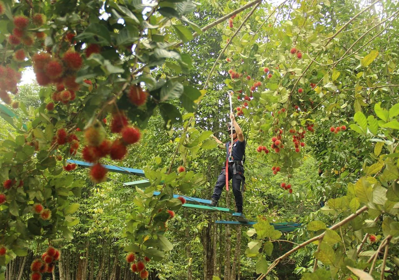Natural landscape in The Orchard Wellness & Health Resort