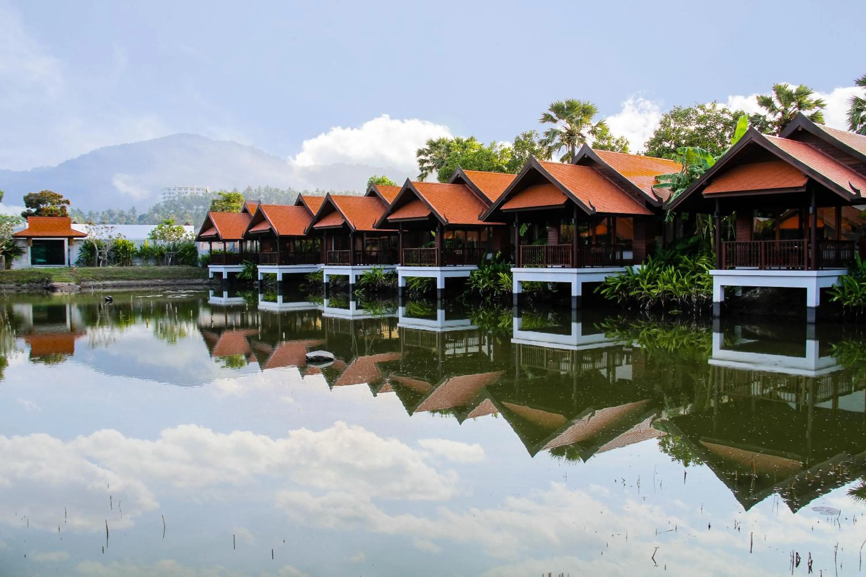 Property building in Farmers Villa