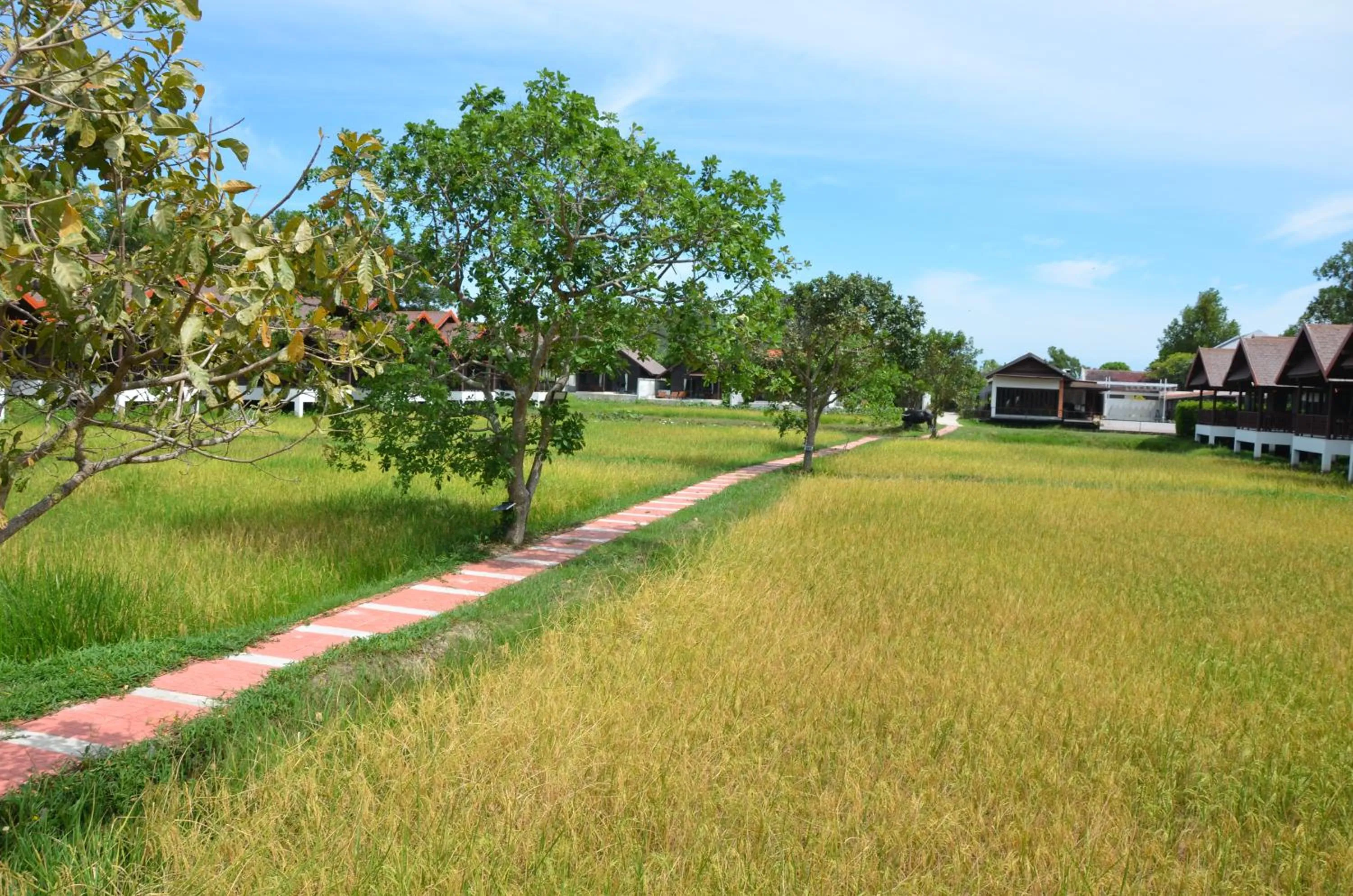 Property building in Farmers Villa