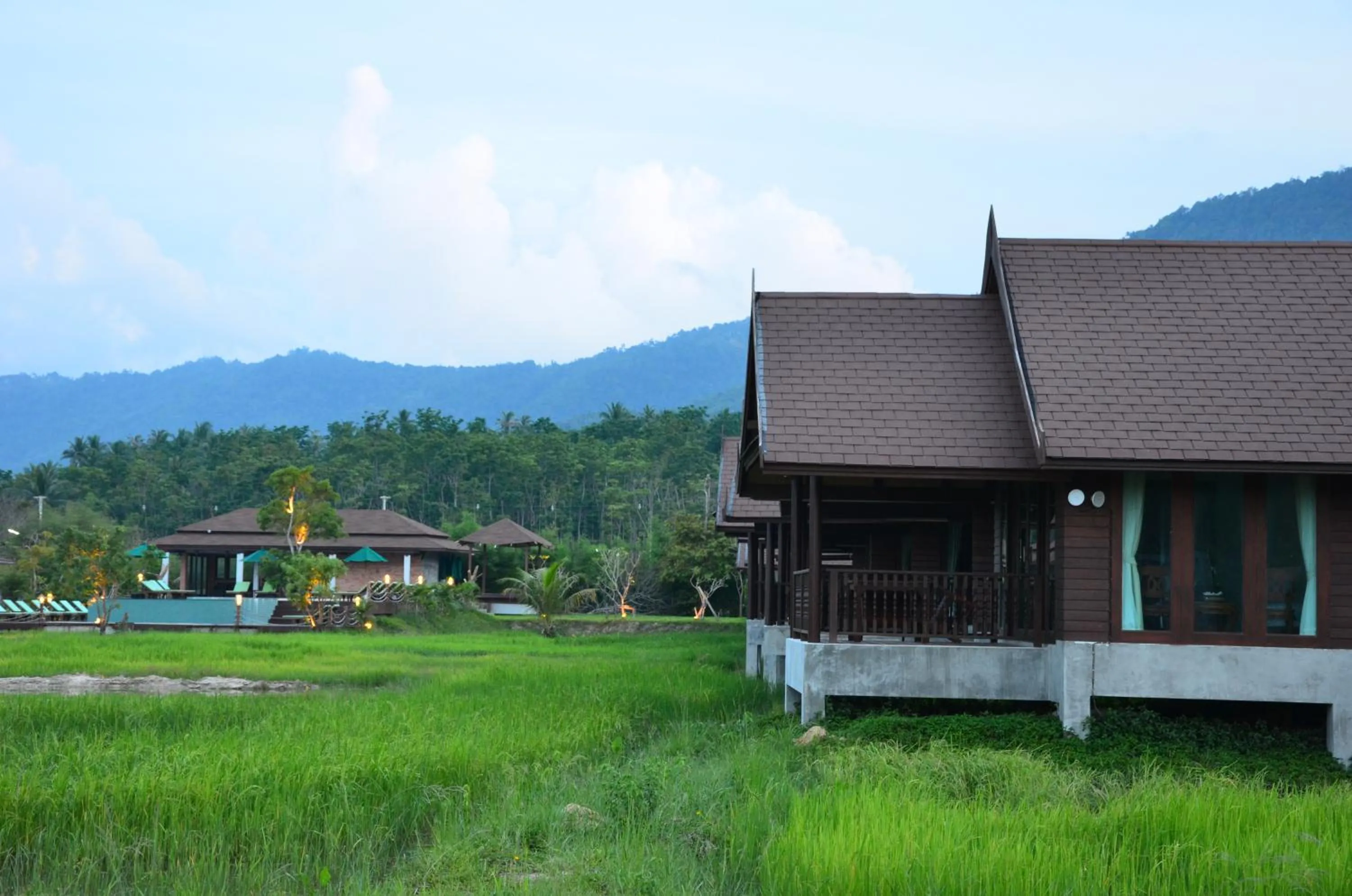 Activities in Farmers Villa