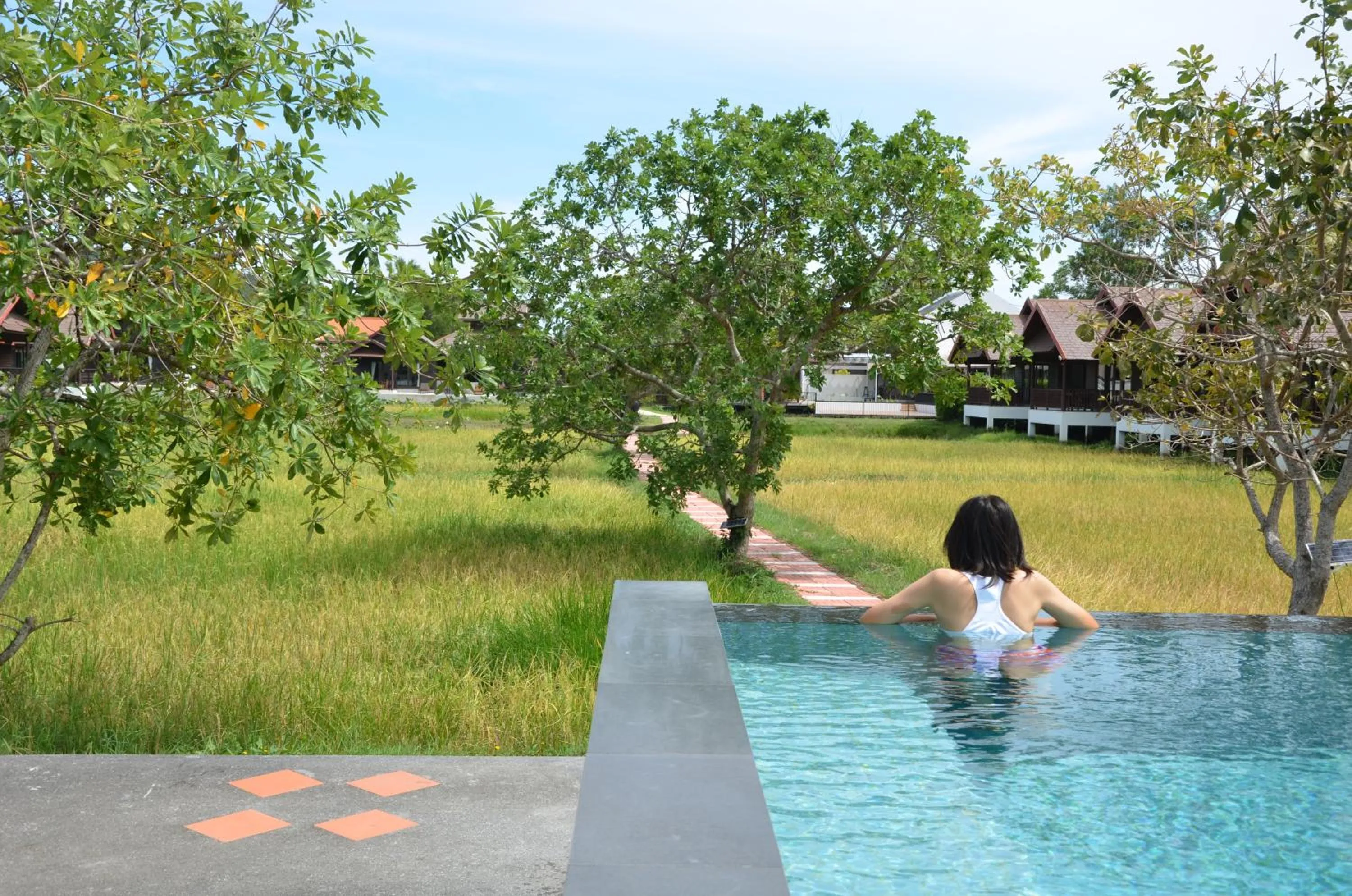 Swimming pool in Farmers Villa