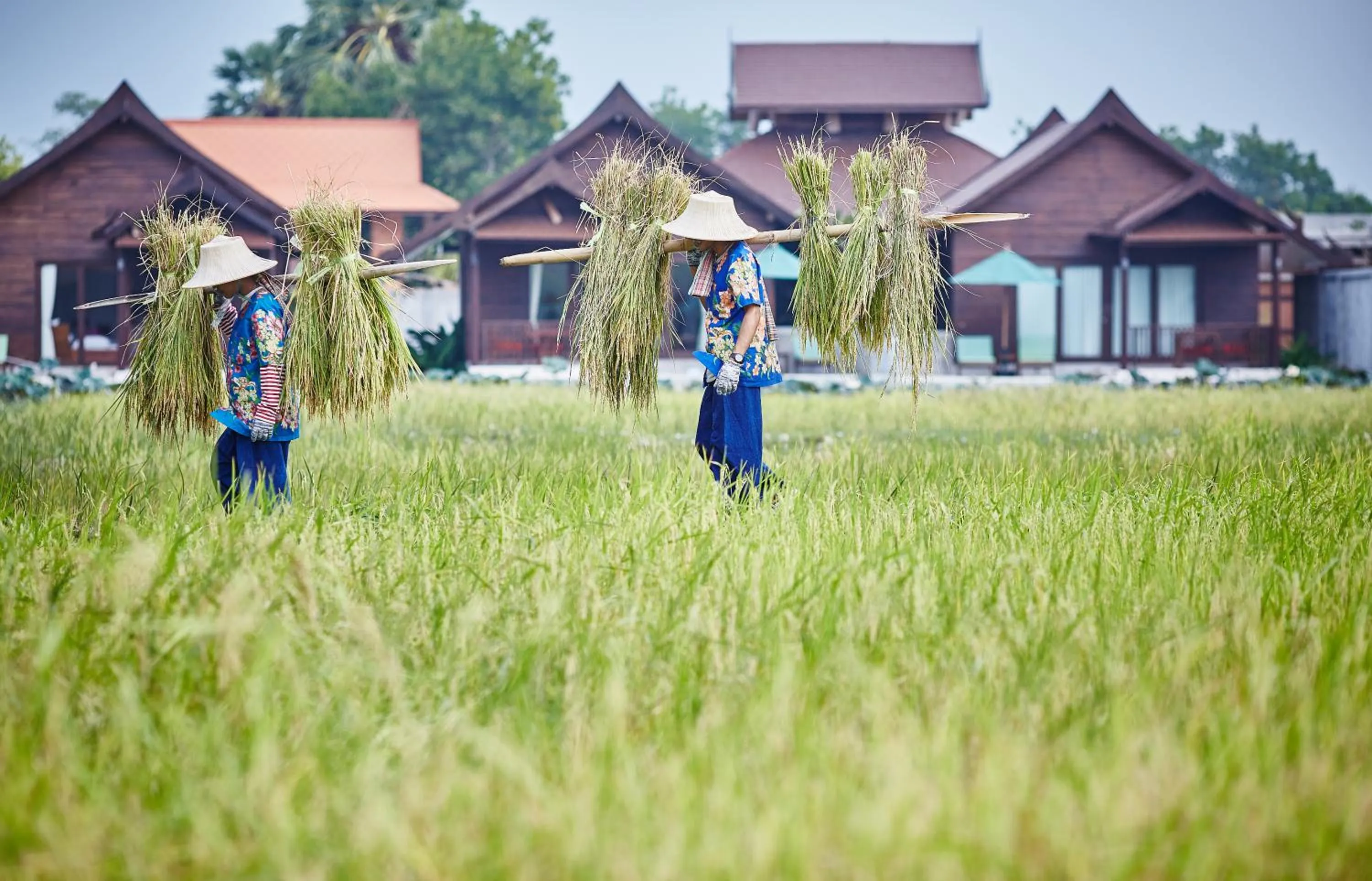 Staff in Farmers Villa