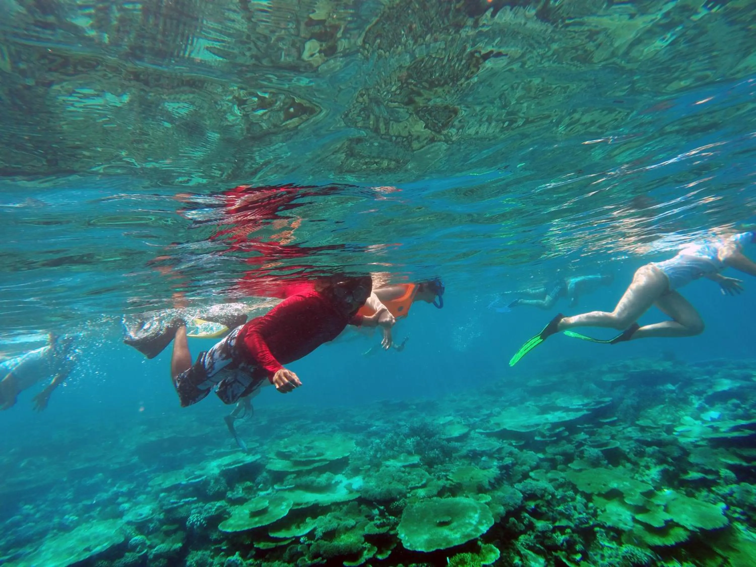 Snorkeling in LVIS blancura Hotel